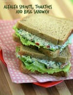 Alfalfa Sprouts, Tomatoes and Basil Sandwich recipe