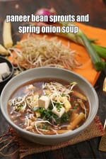 paneer bean sprouts and spring onion soup recipe | paneer vegetable soup | healthy Indian |