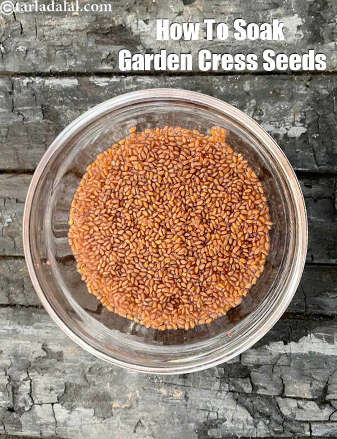 How to soak garden cress seeds, halim recipe | soaked garden cress seeds | how to eat garden cress seeds | benefits of halim or aliv | | Tarla Dalal