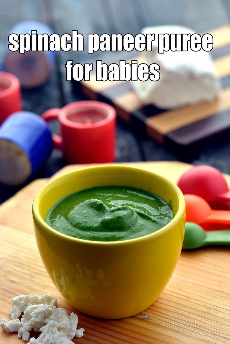 Spinach paneer puree for babies | palak paneer puree for babies | palak recipe for babies | spinach puree for babies | homemade spinach paneer puree for babies | homemade palak recipe for babies | | Tarla Dalal