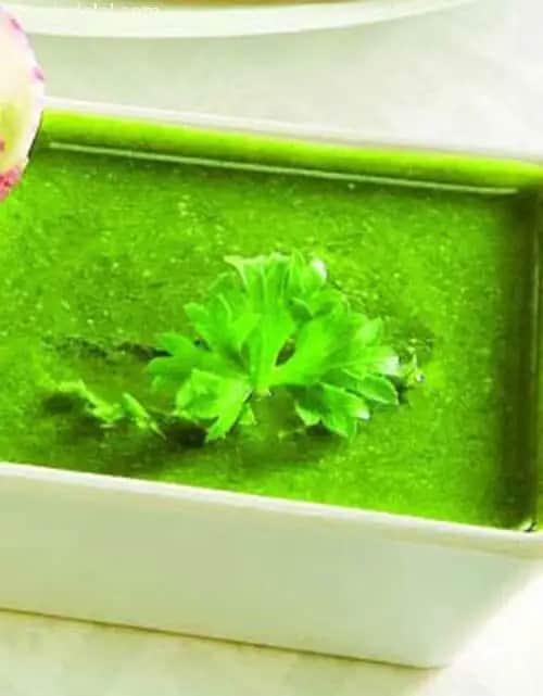 Teekha Chutney ( Mumbai Roadside Recipes ) Recipe