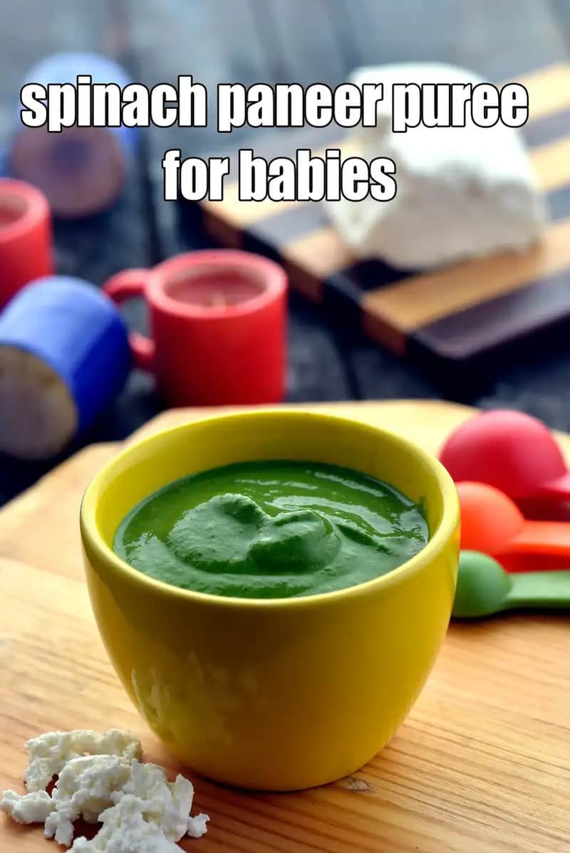 Spinach Paneer Puree For Babies Recipe (Toddler)