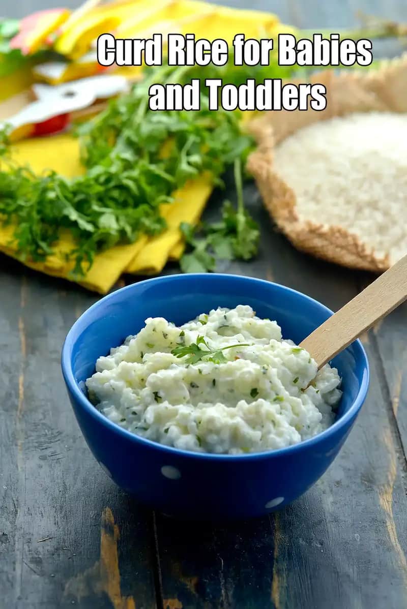 Curd Rice For Babies And Toddlers Recipe