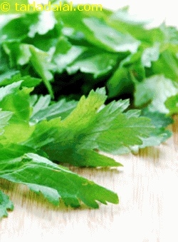 celery leaves benefits
