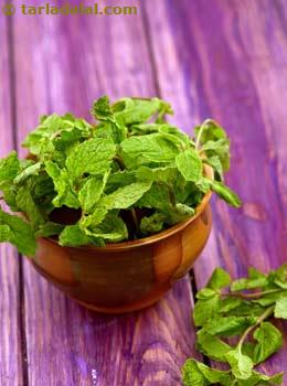 What is mint leaves pudina phudina Glossary Benefits Uses