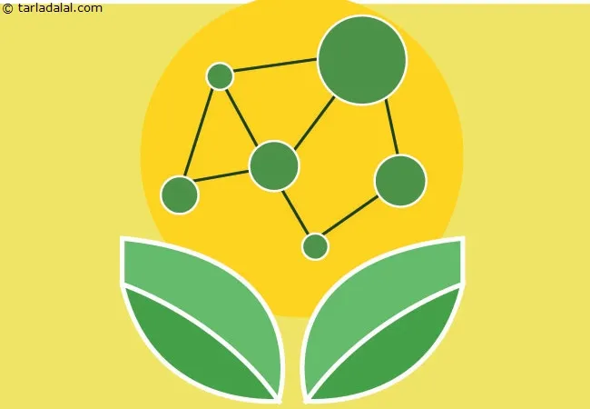 Anti-Inflammatory-Ginger