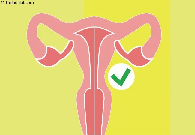 Ginger-Eases-Menstrual-Pain