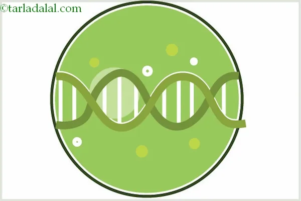 Green-Peas-are-Rich-in-Antioxidants