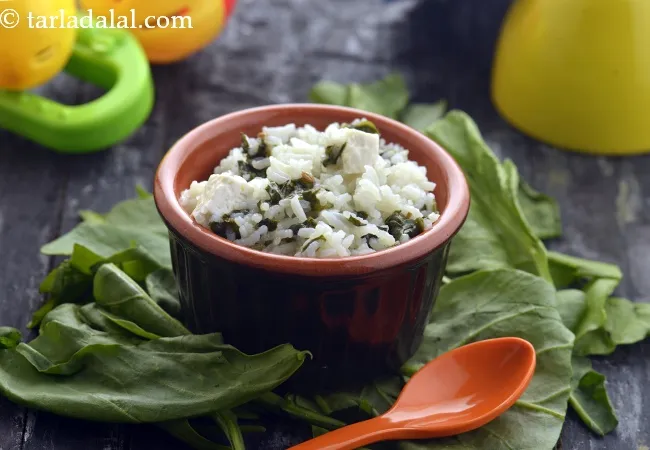 Palak Paneer Rice for Babies and Toddler