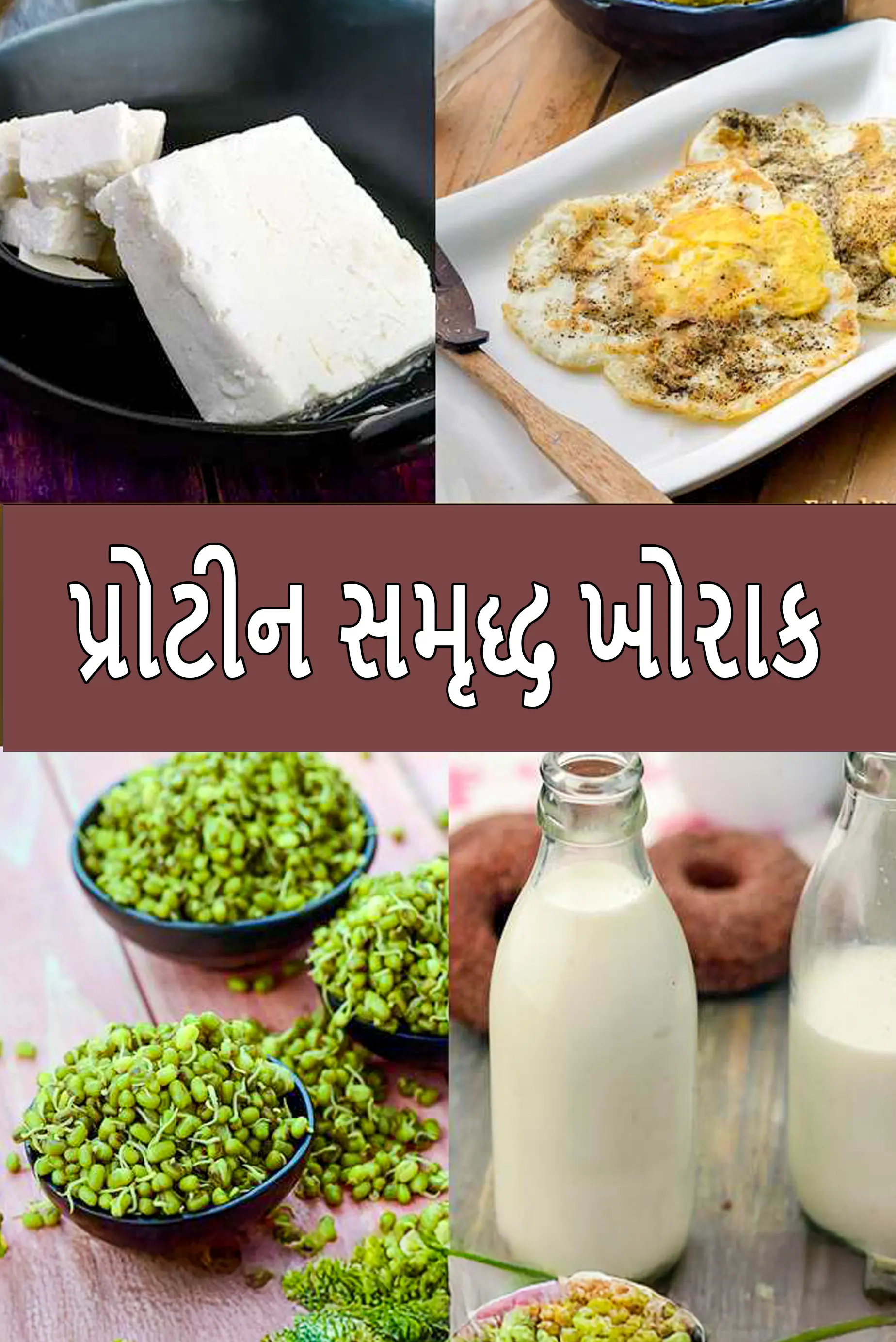 List of Protein Rich Vegetarian Indian Foods
