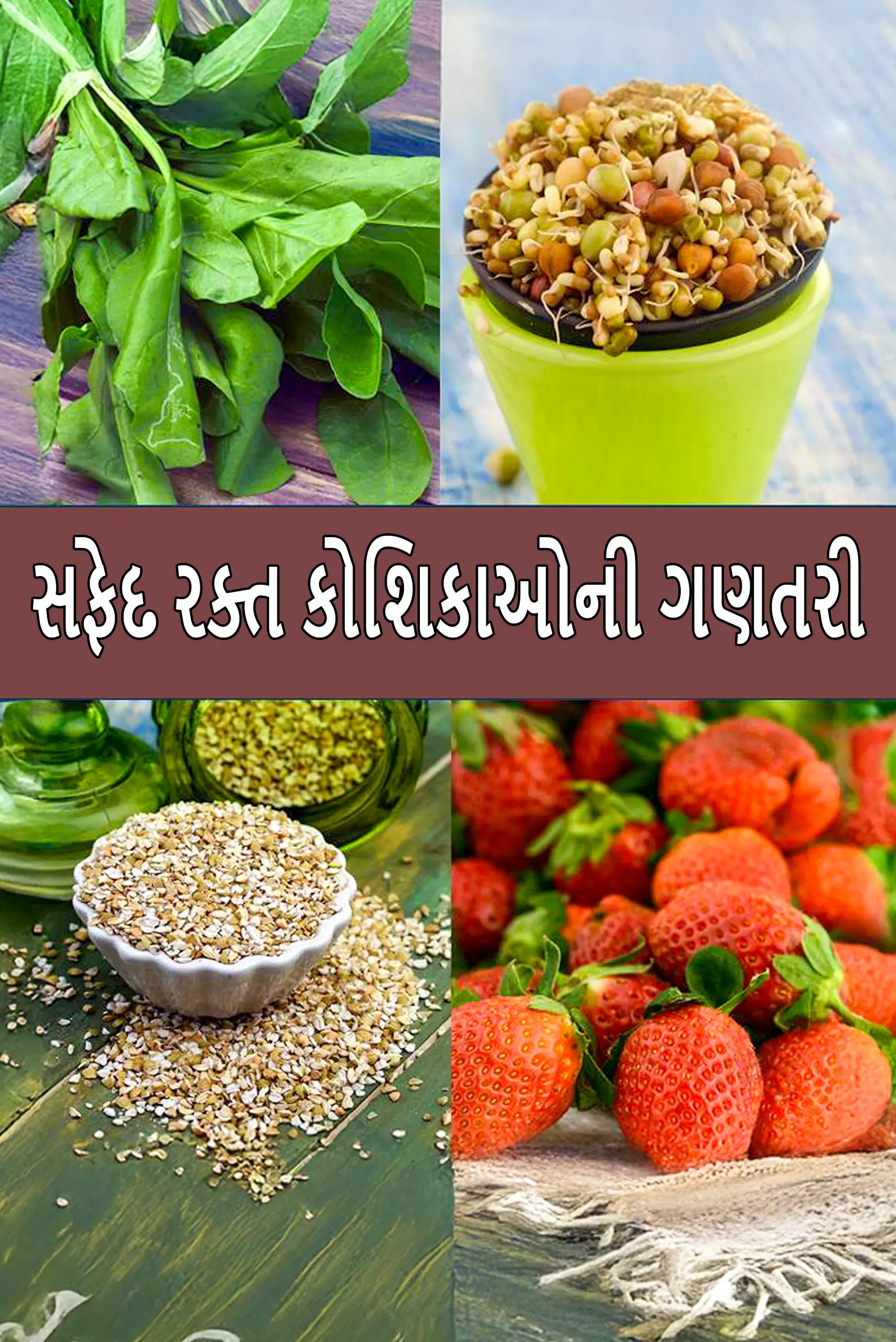 White Blood Cell Count (WBC), Low, High