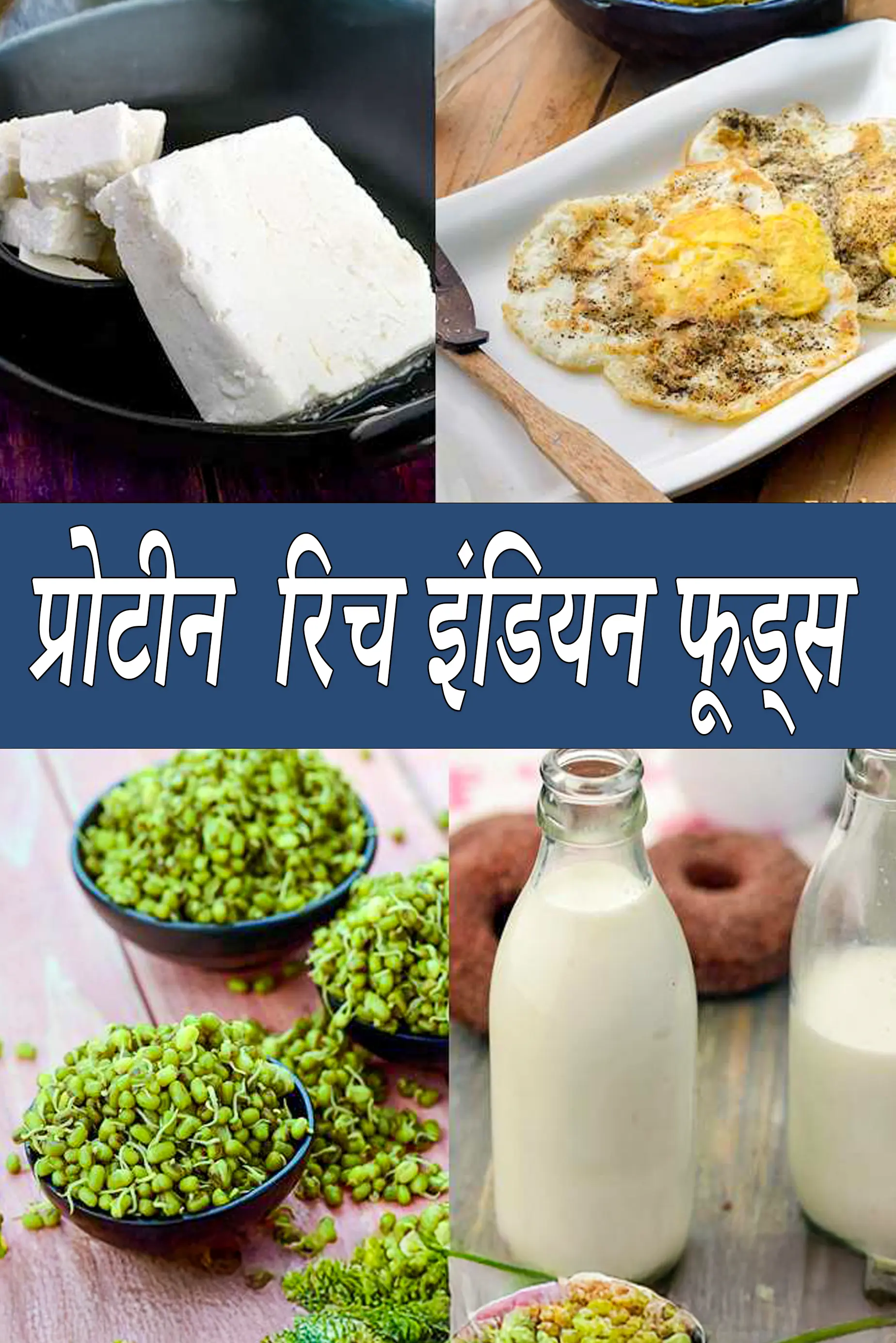 List of Protein Rich Vegetarian Indian Foods