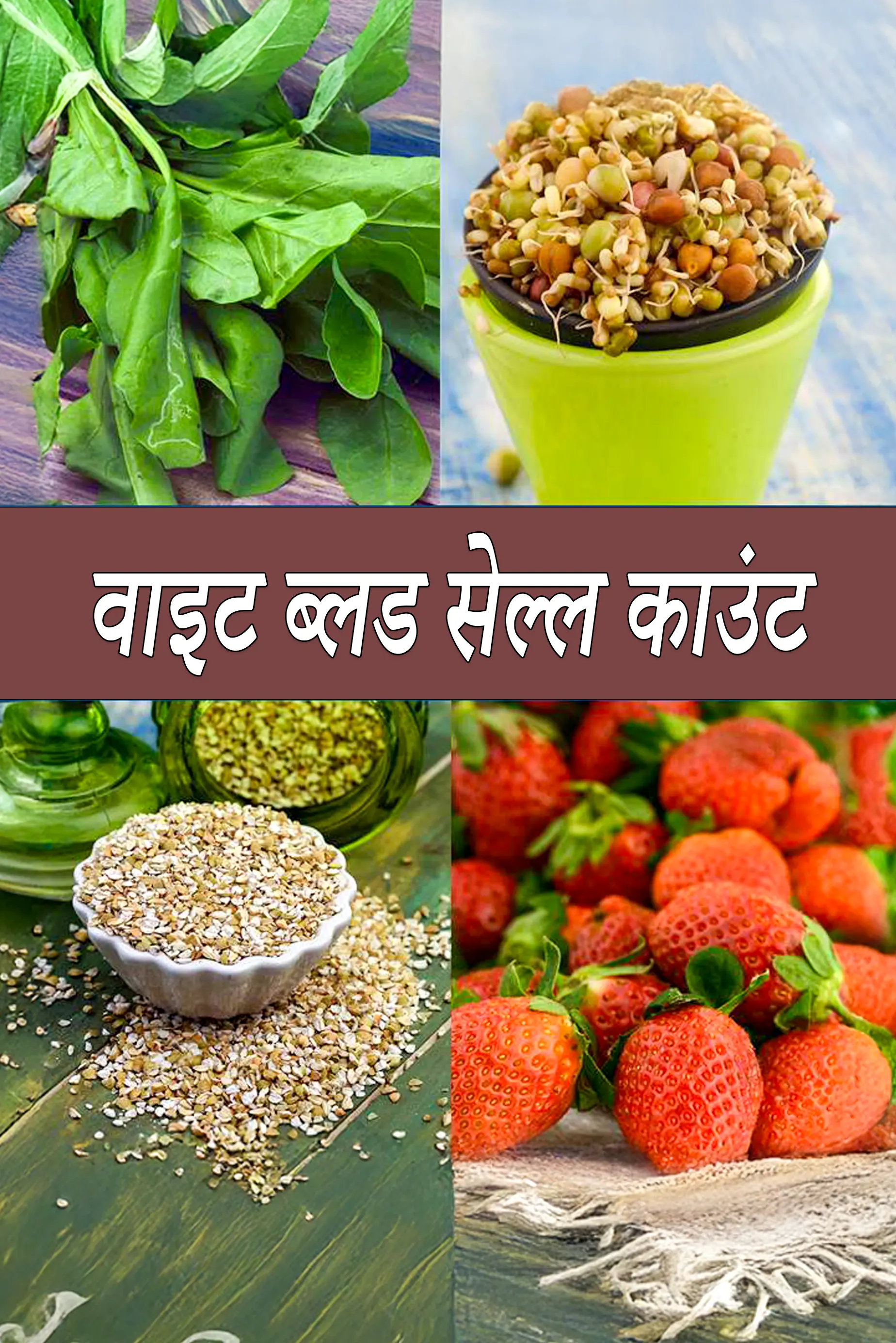 White Blood Cell Count (WBC), Low, High