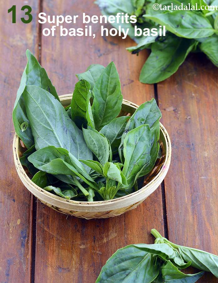Benefits of Basil, Holy Basil (Tulsi)