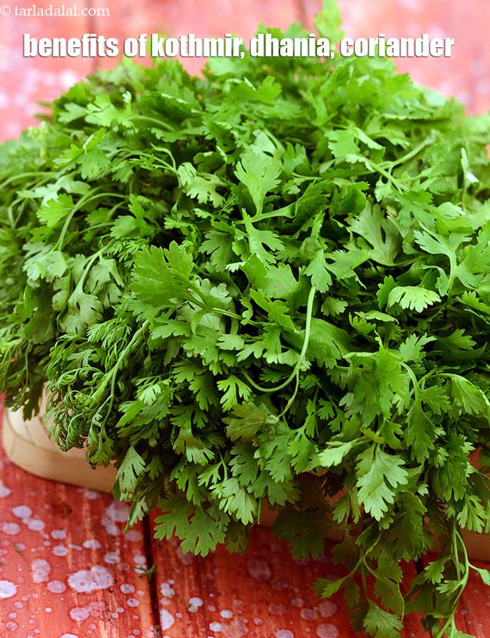 Benefits of Coriander ( Dhania, Kothmir)