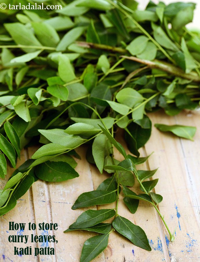 How do you store curry leaves, kadi patta?
