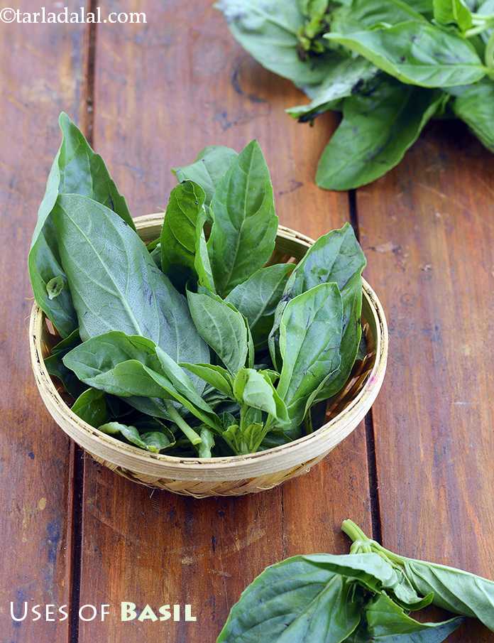 Uses of Basil