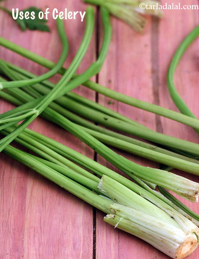 Uses of Celery (Ajmoda)