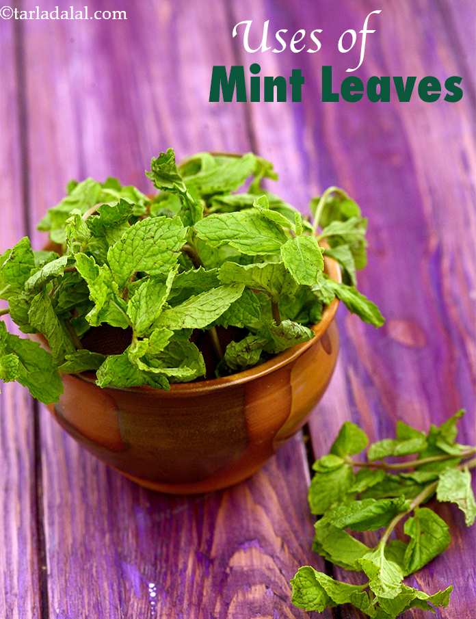 Top 15 Indian Mint, Pudina recipes