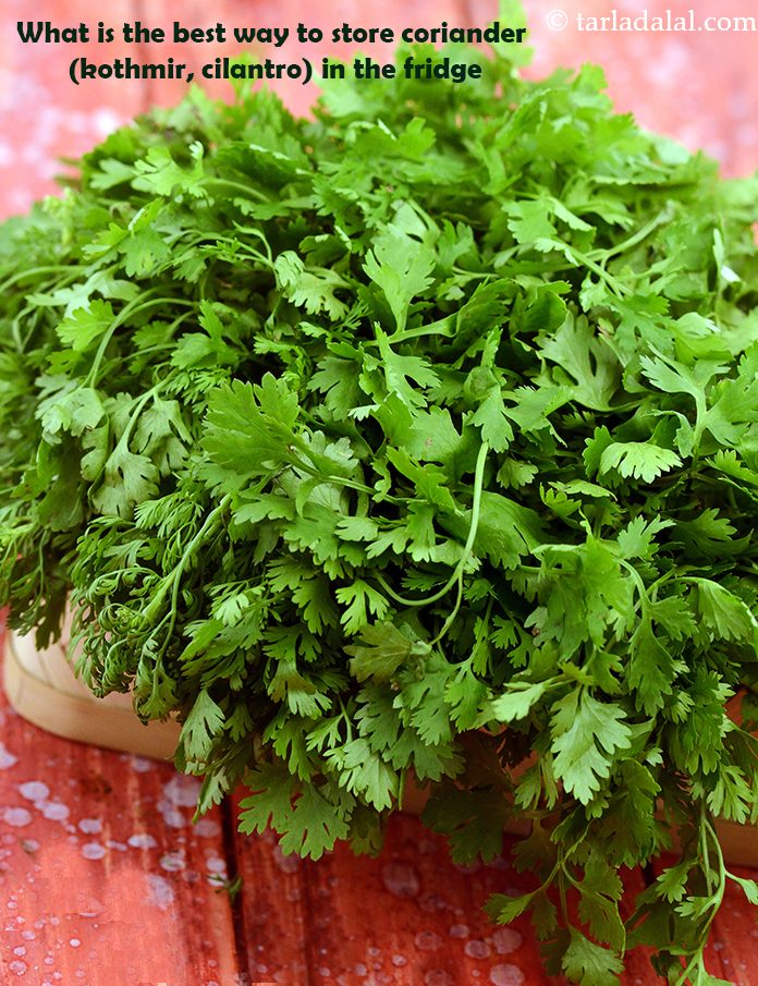 What is the best way to store fresh coriander (kothmir, cilantro) ?
