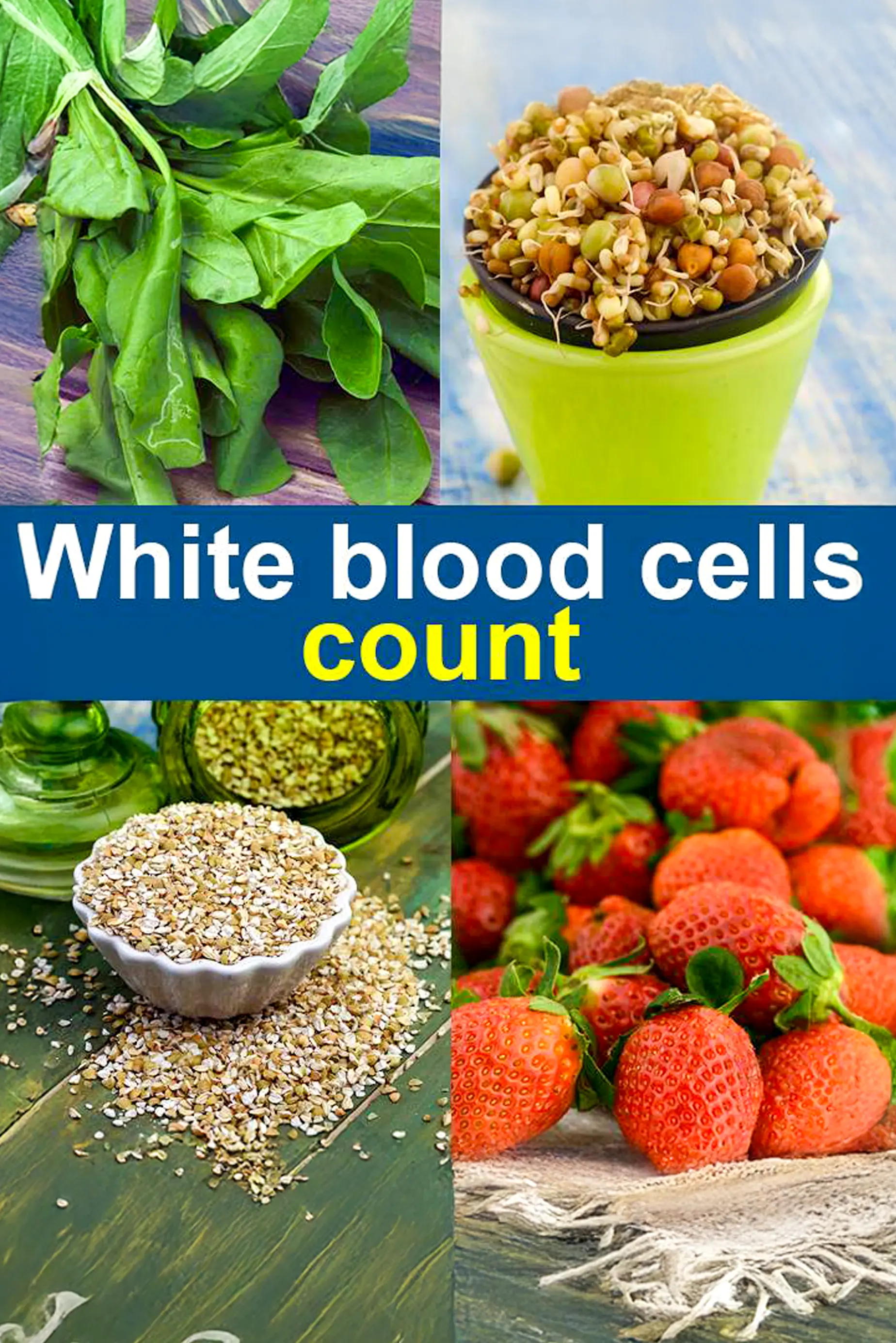 White Blood Cell Count (WBC), Low, High
