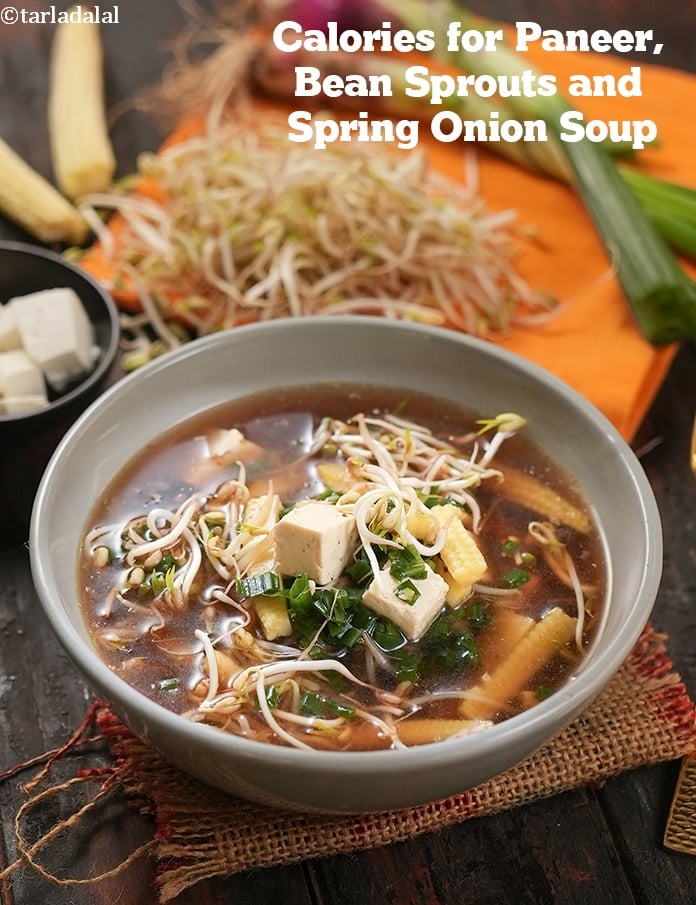 Paneer, Bean Sprouts and Spring Onion Soup