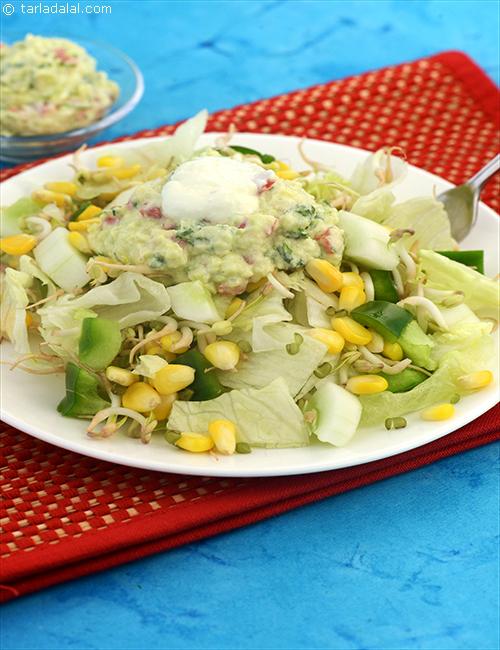 Mexican Rajma, Bean Sprouts and Lettuce Tossed in Guacamole Dressing