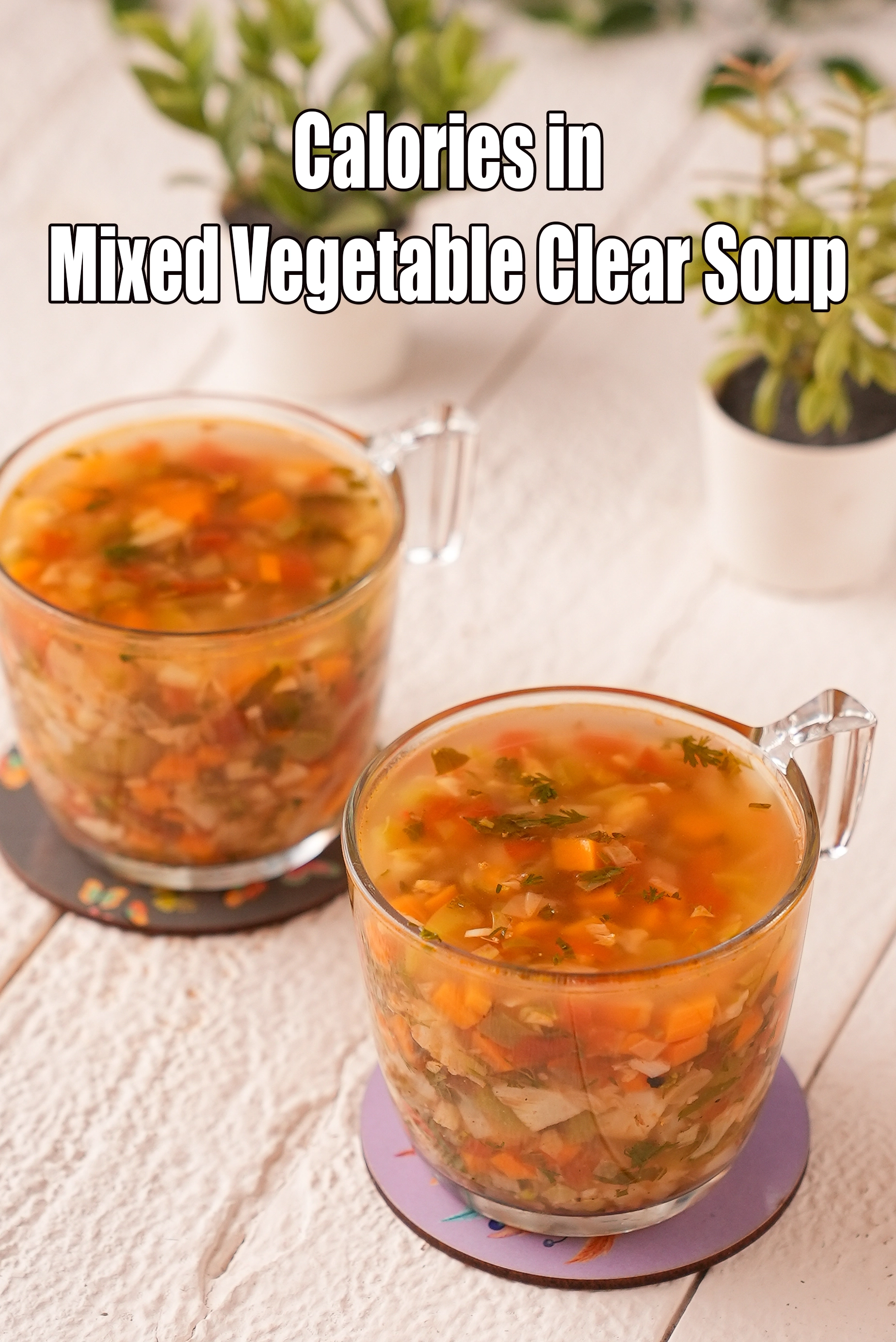 Mixed Vegetable Clear Soup