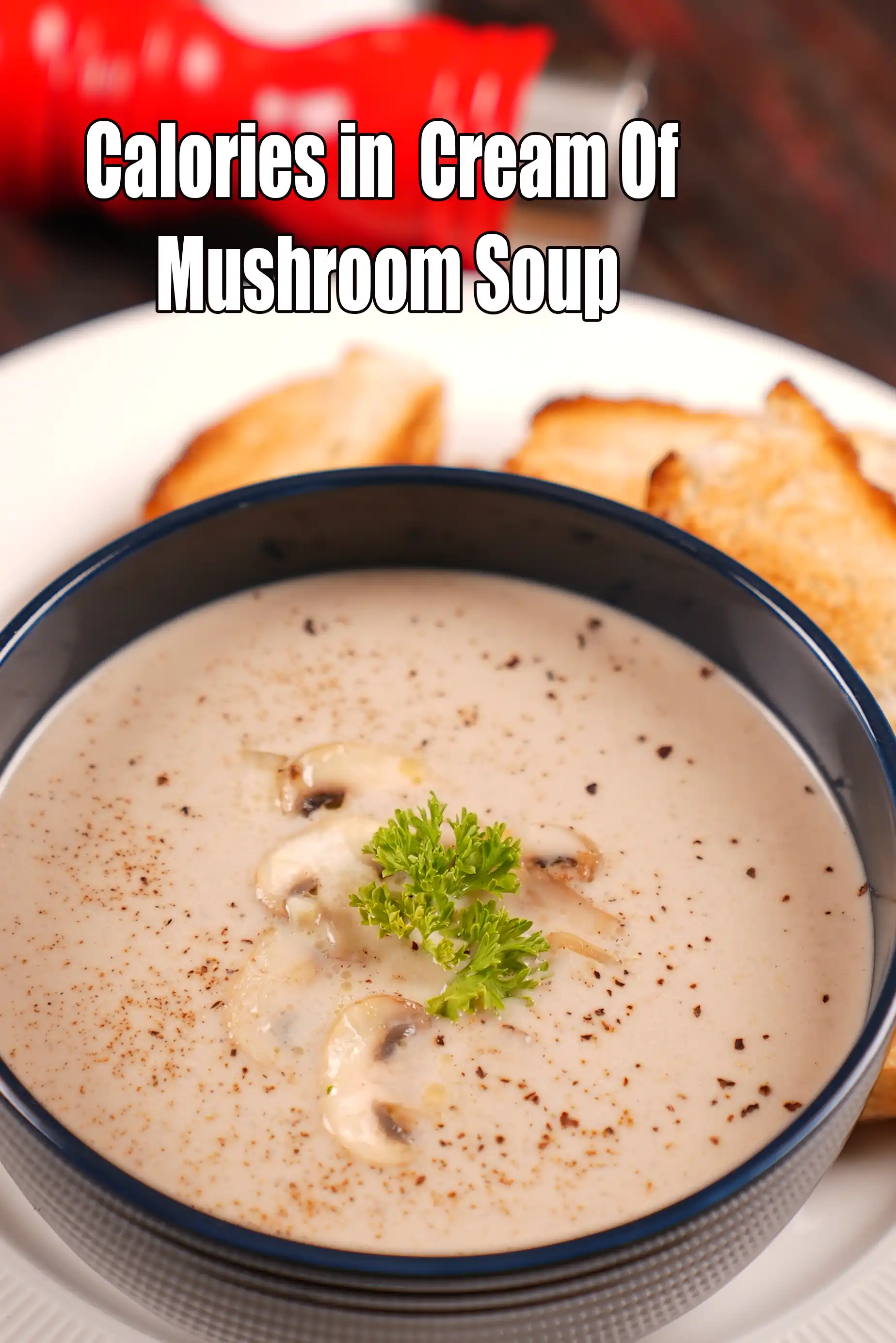 Cream Of Mushroom Soup