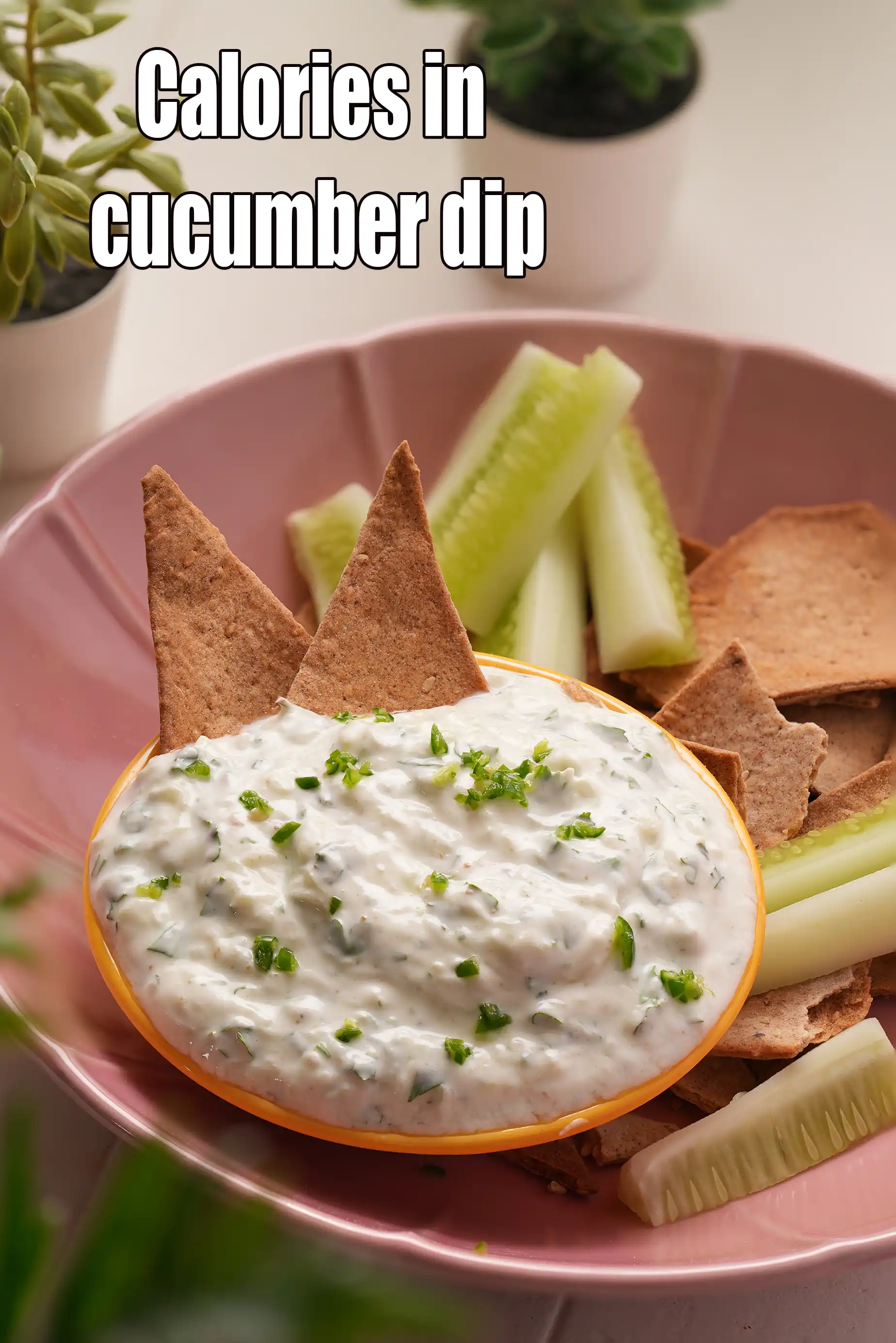 Calories in Cucumber Dip, Healthy Indian Cucumber Curd Dip