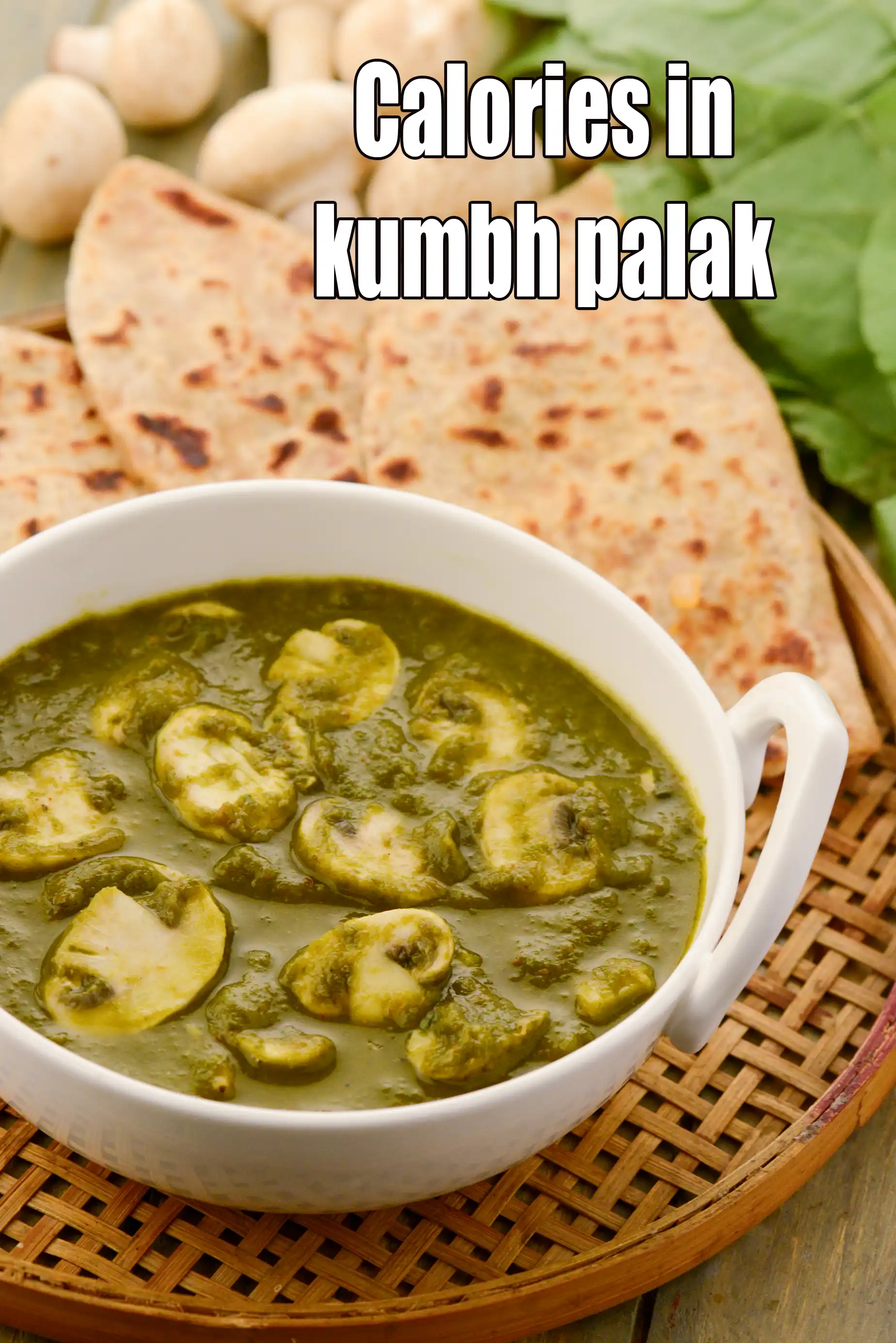 Kumbh Palak