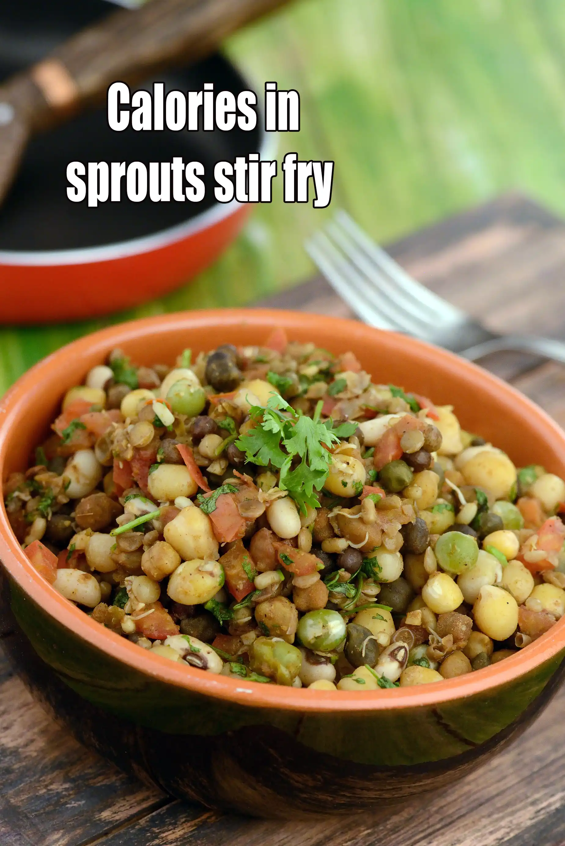Calories in Sprouts Stir Fry, Mixed Sprouts Sabzi