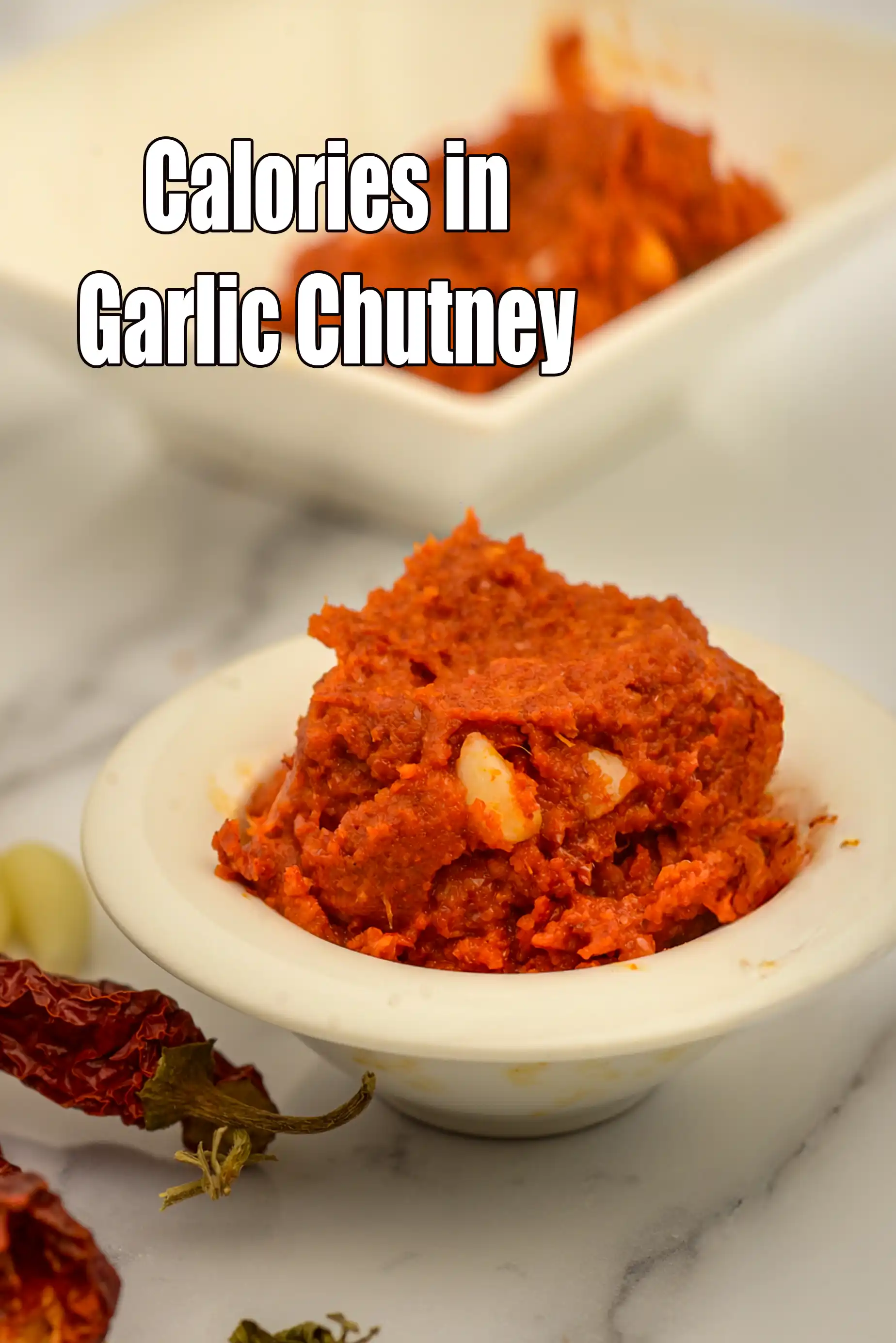 Garlic Chutney ( Gujarati Recipe)