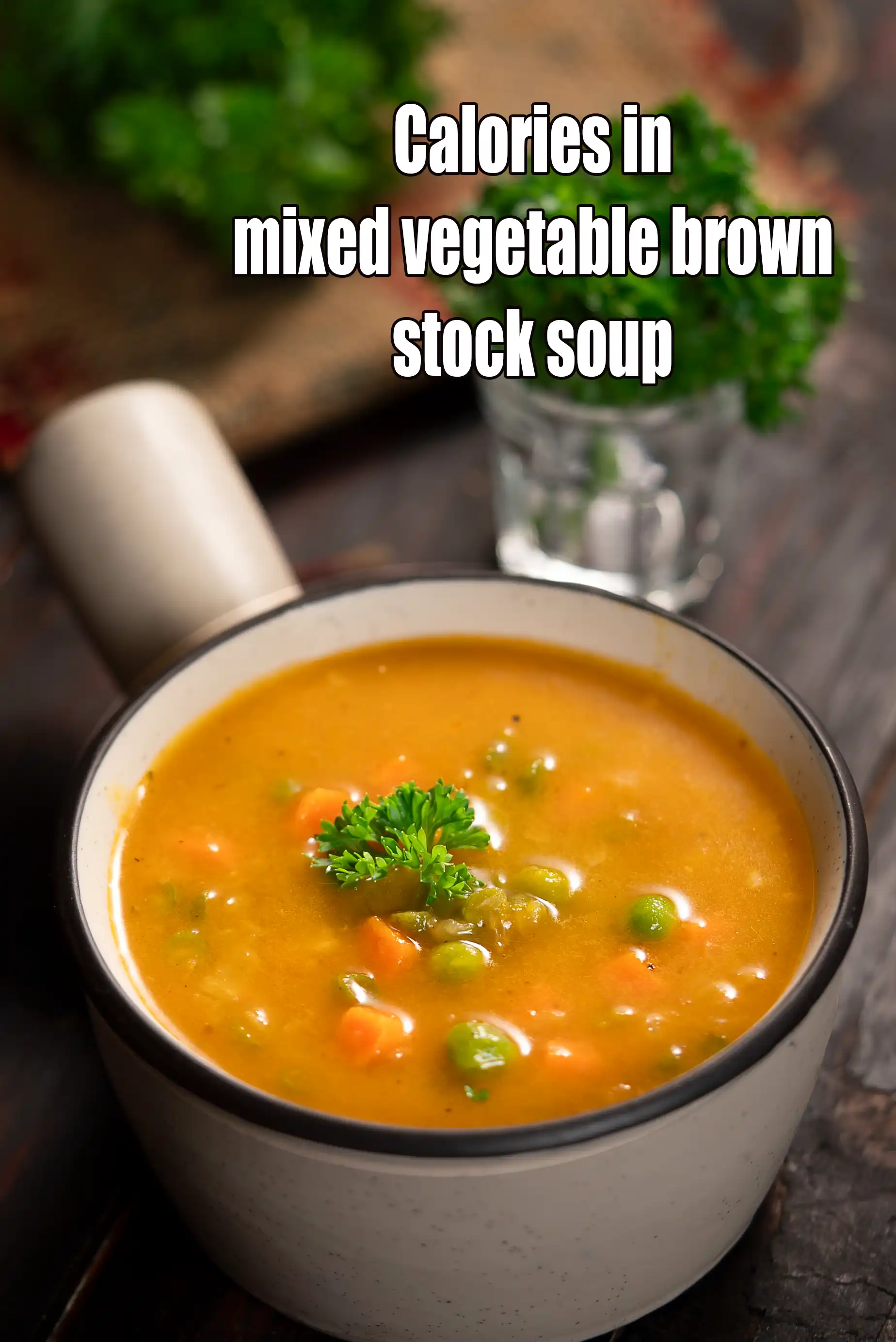 Calories in Mixed Vegetable Brown Stock Soup