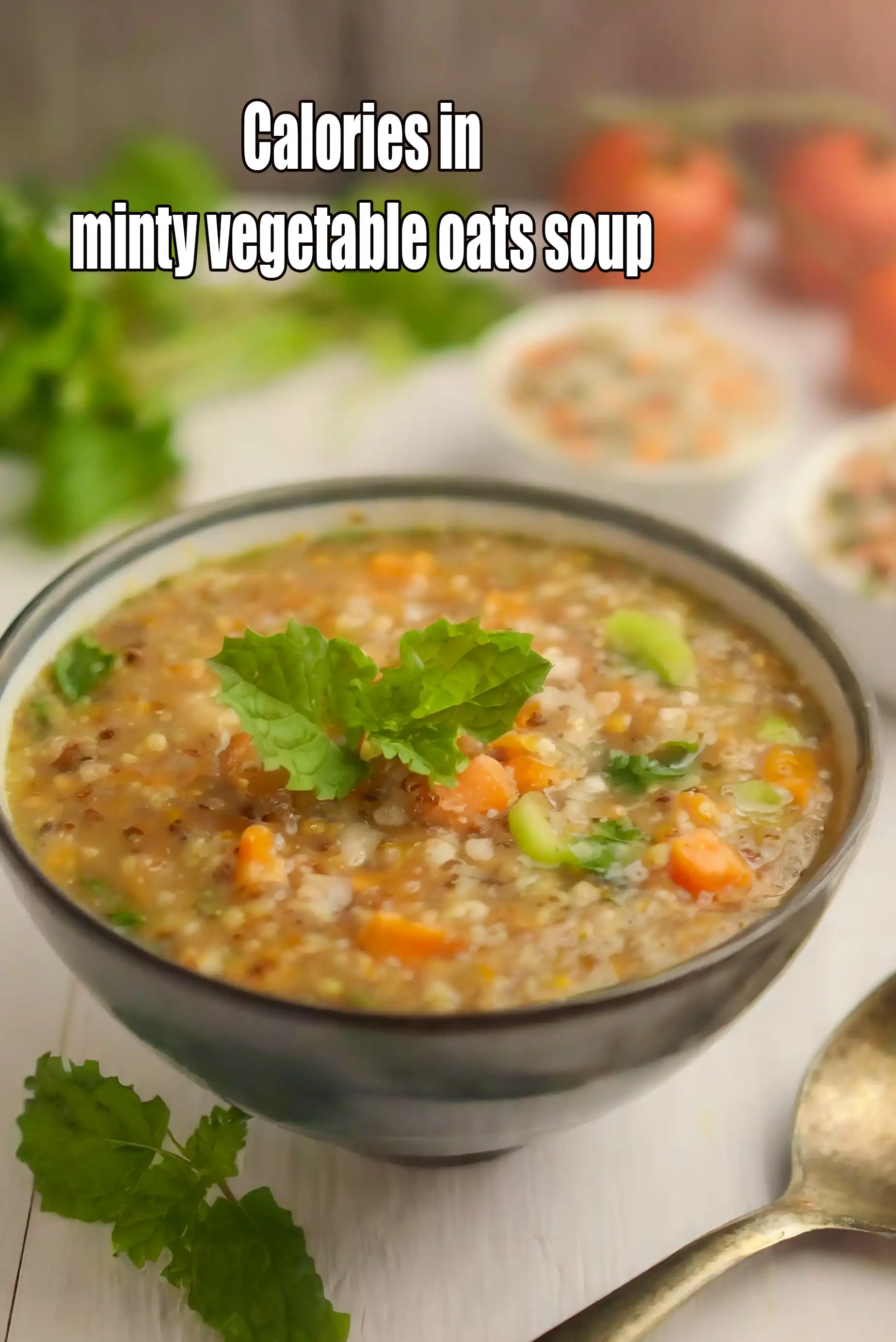 Minty Vegetable and Oats Soup