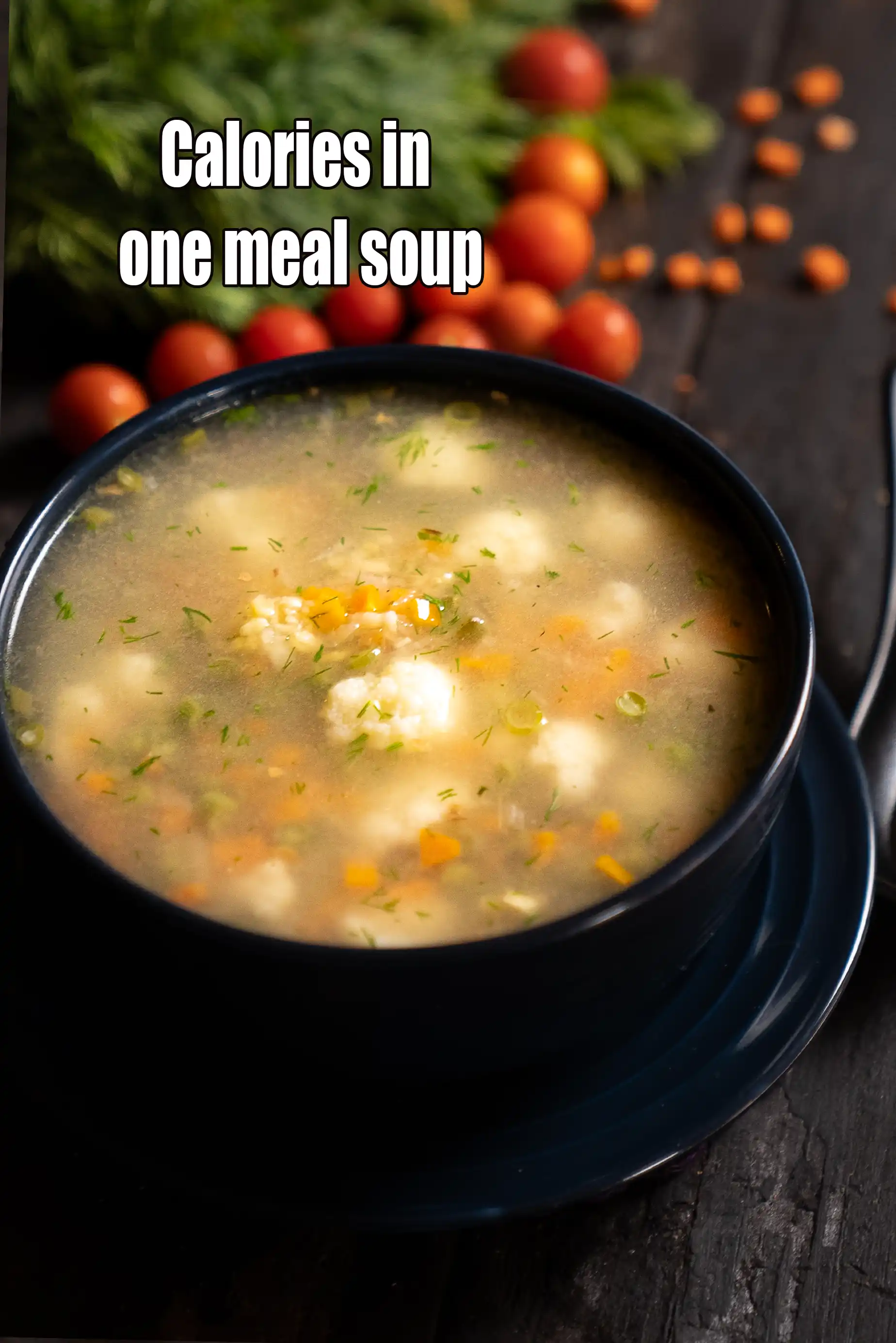 Calories in One Meal Soup, Healthy Indian Dal Vegetable Soup