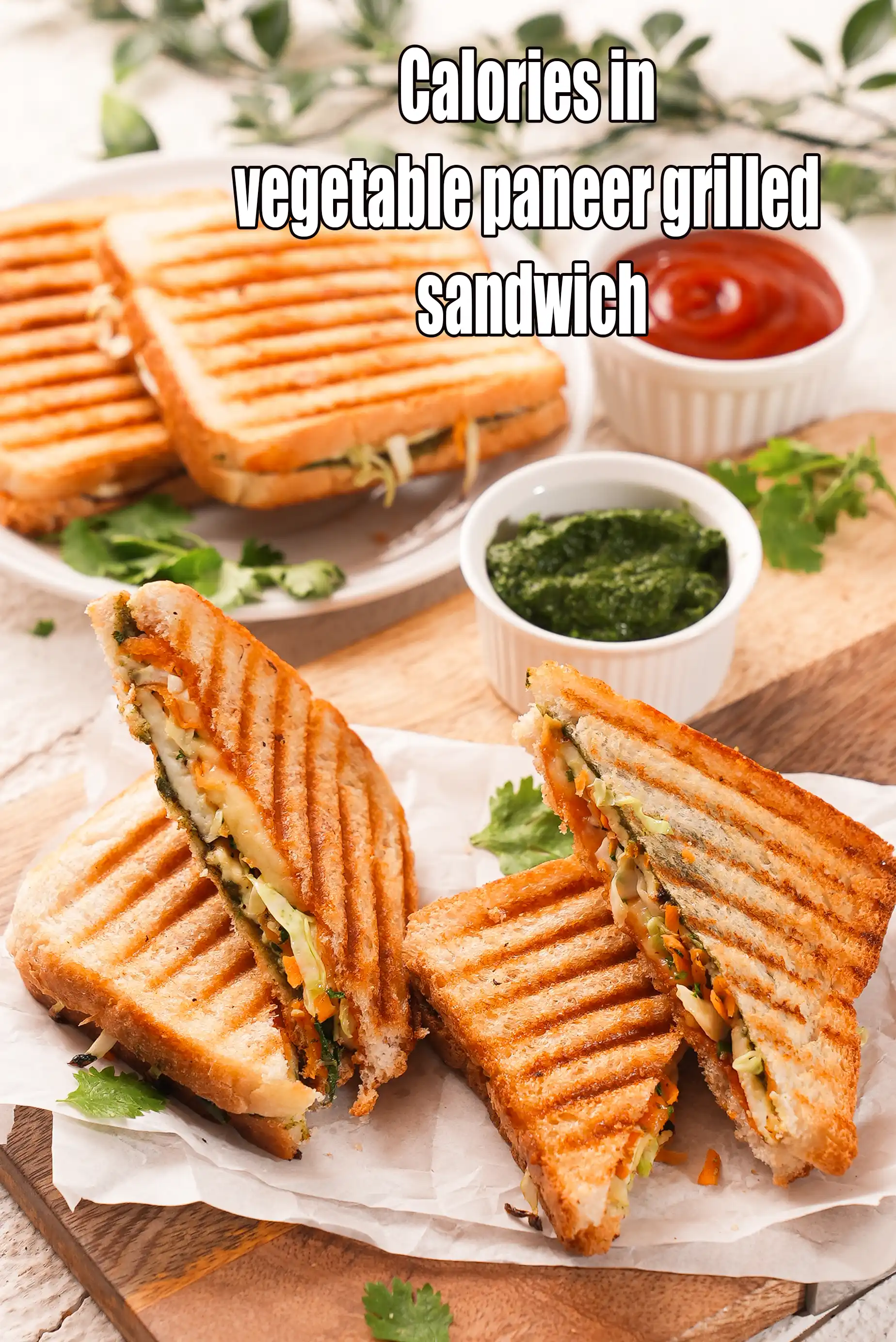Vegetable Paneer Grilled Sandwich