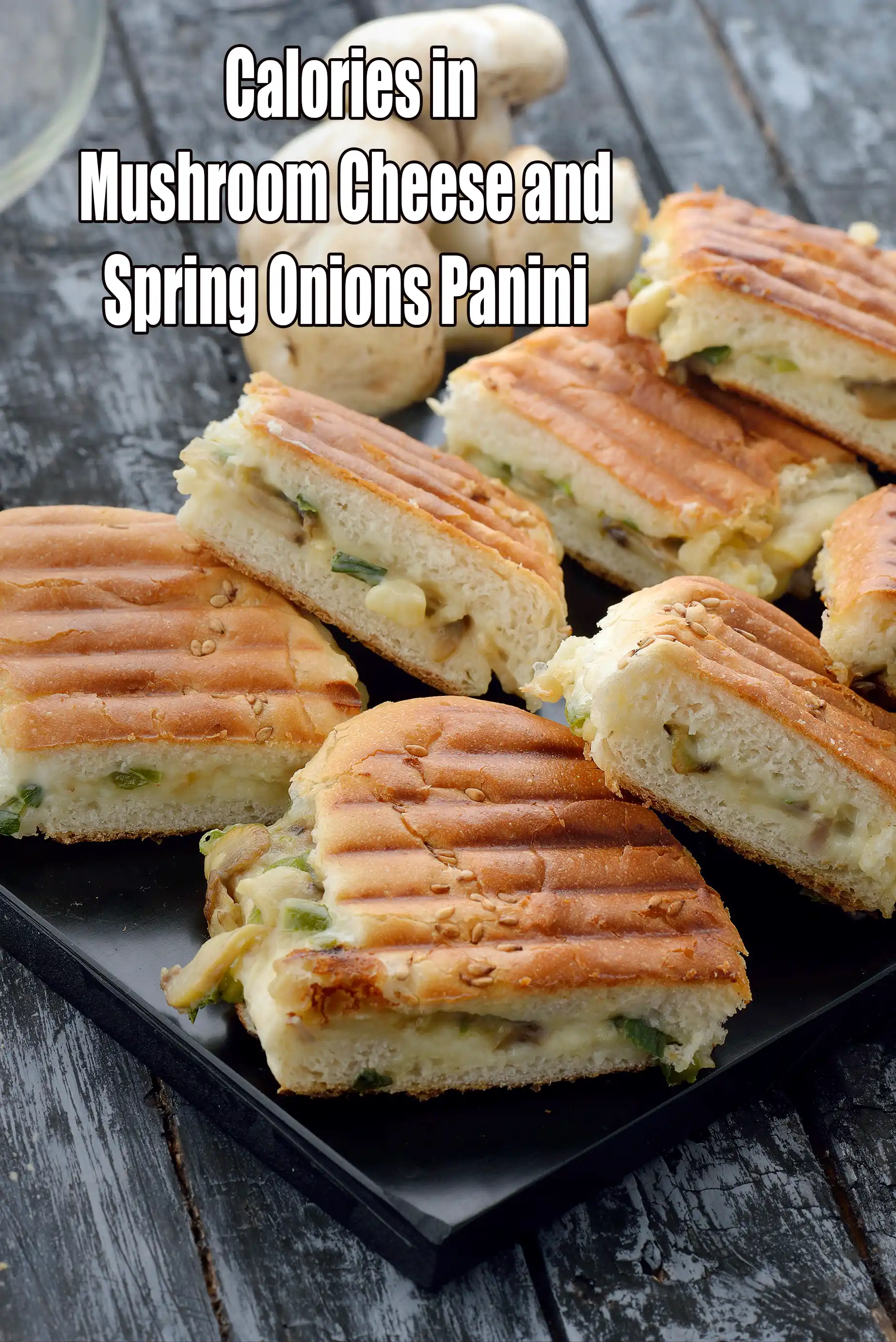 Mushroom Cheese and Spring Onions Panini