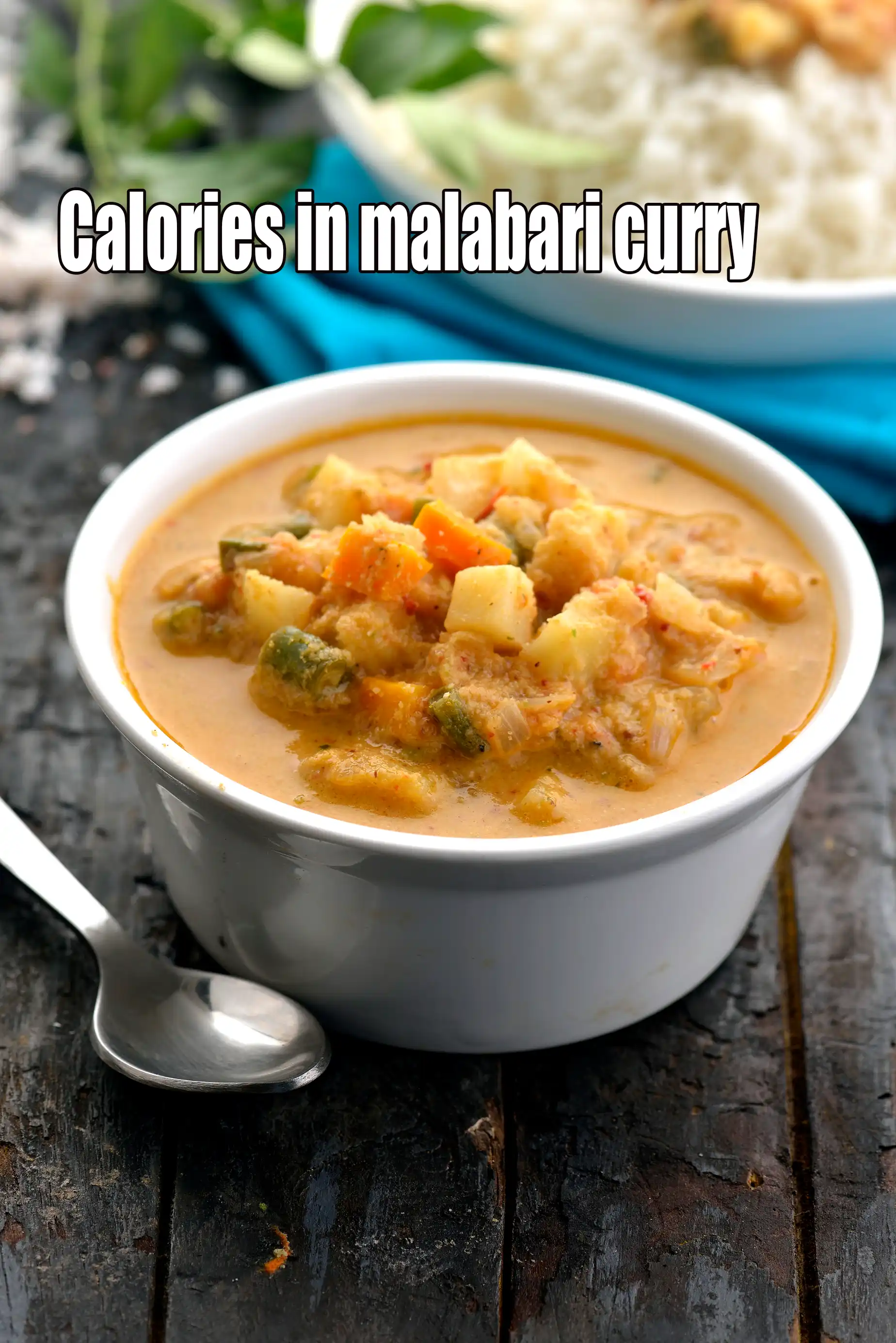 Malabari Curry, South Indian Vegetable Curry