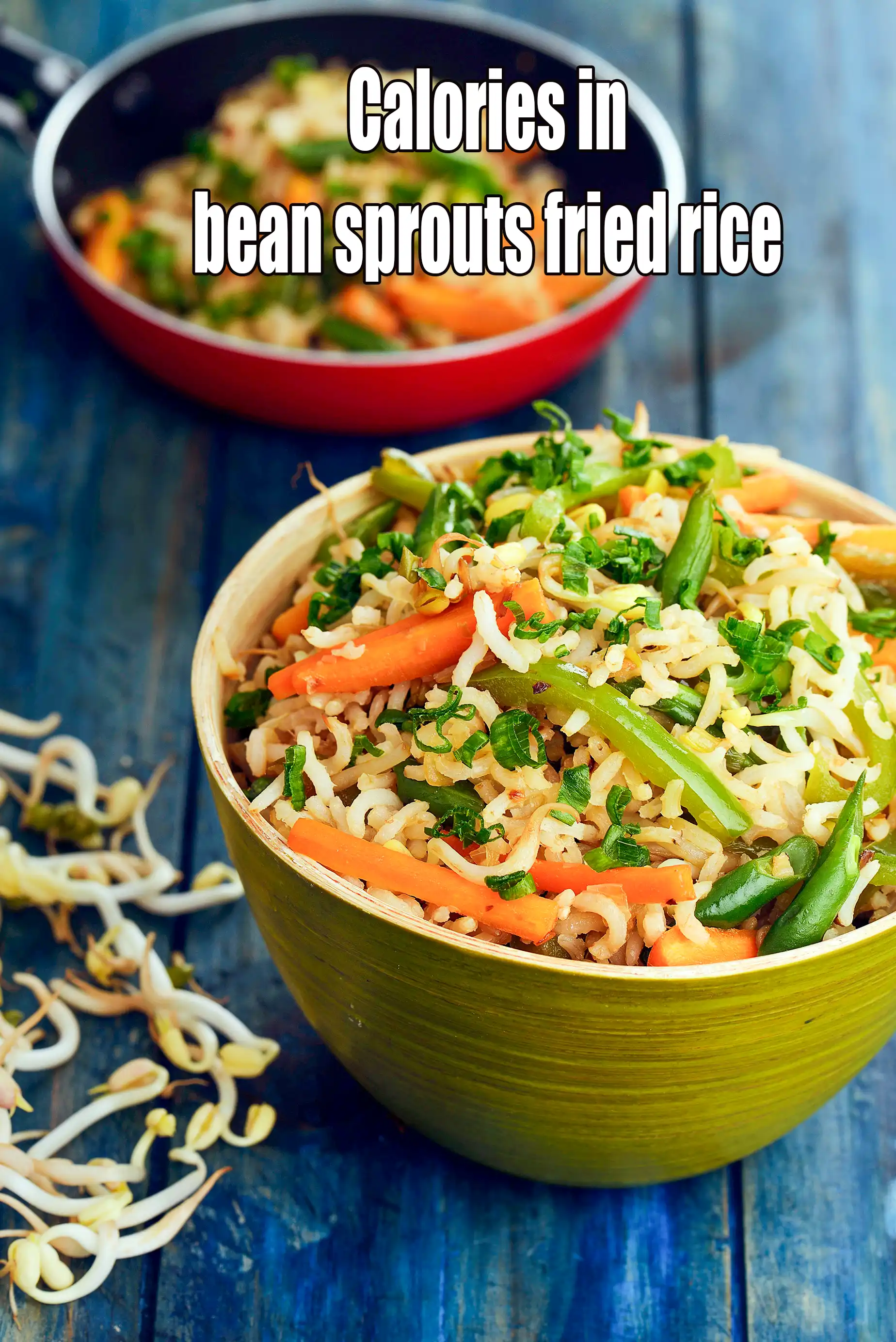 Bean Sprouts Fried Rice, Healthy Sprouts Fried Rice