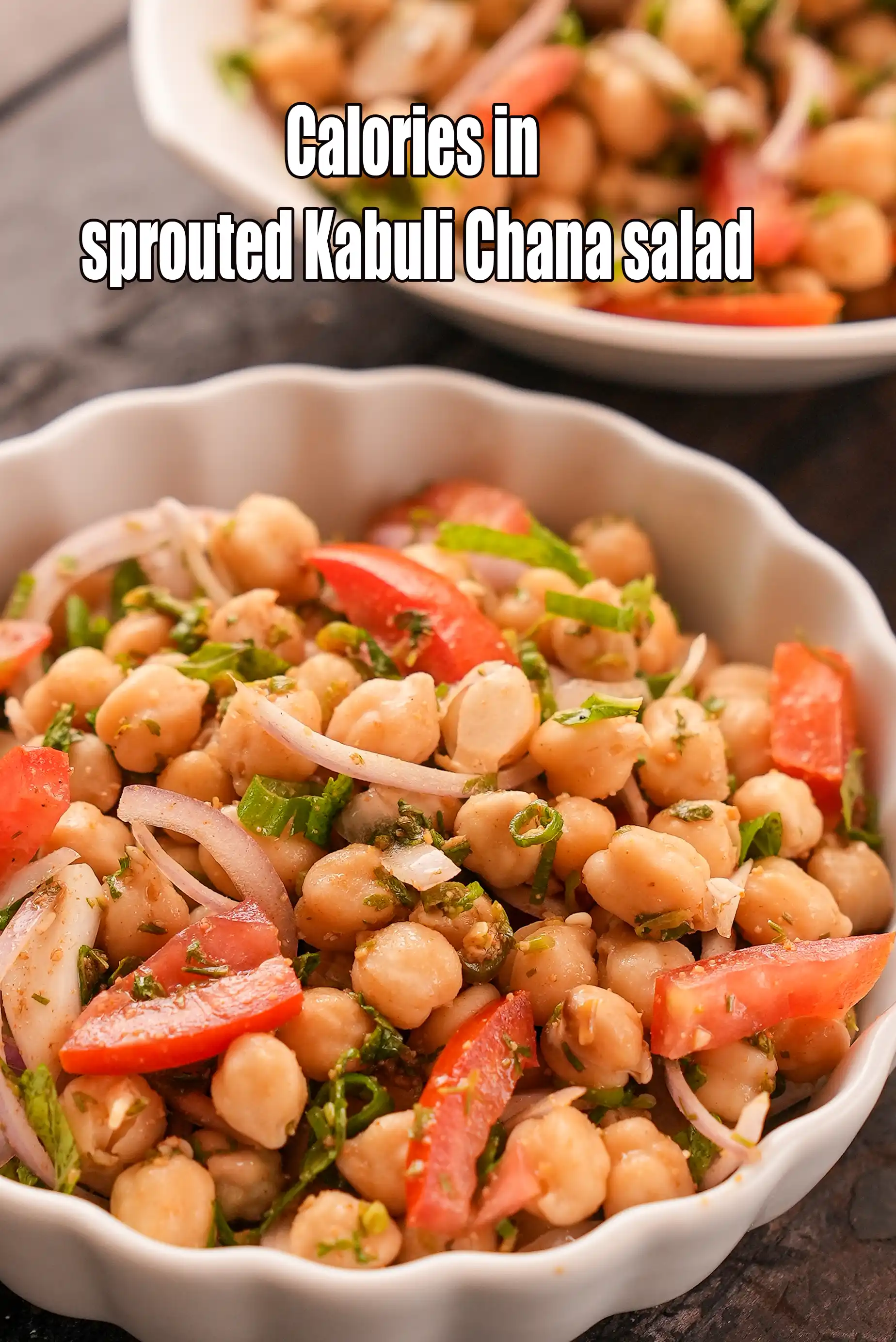 Sprouted Kabuli Chana Salad