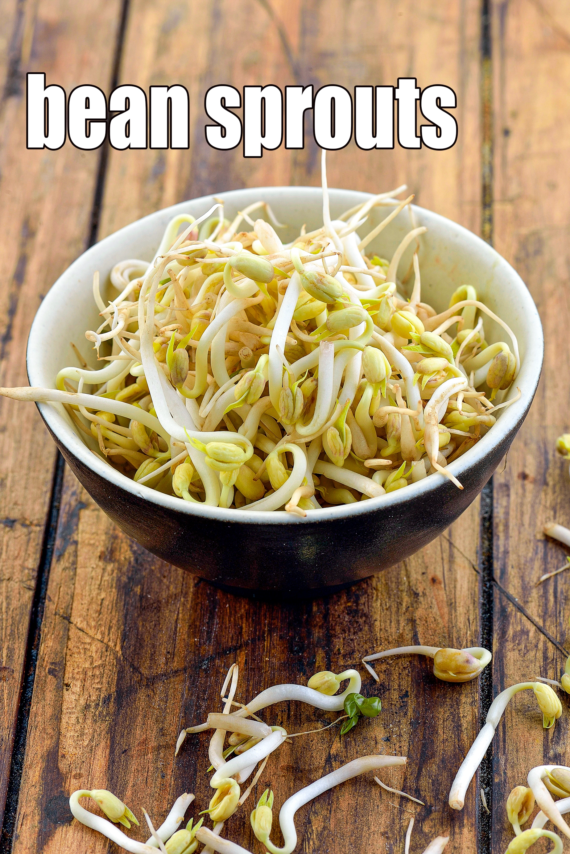 bean sprouts