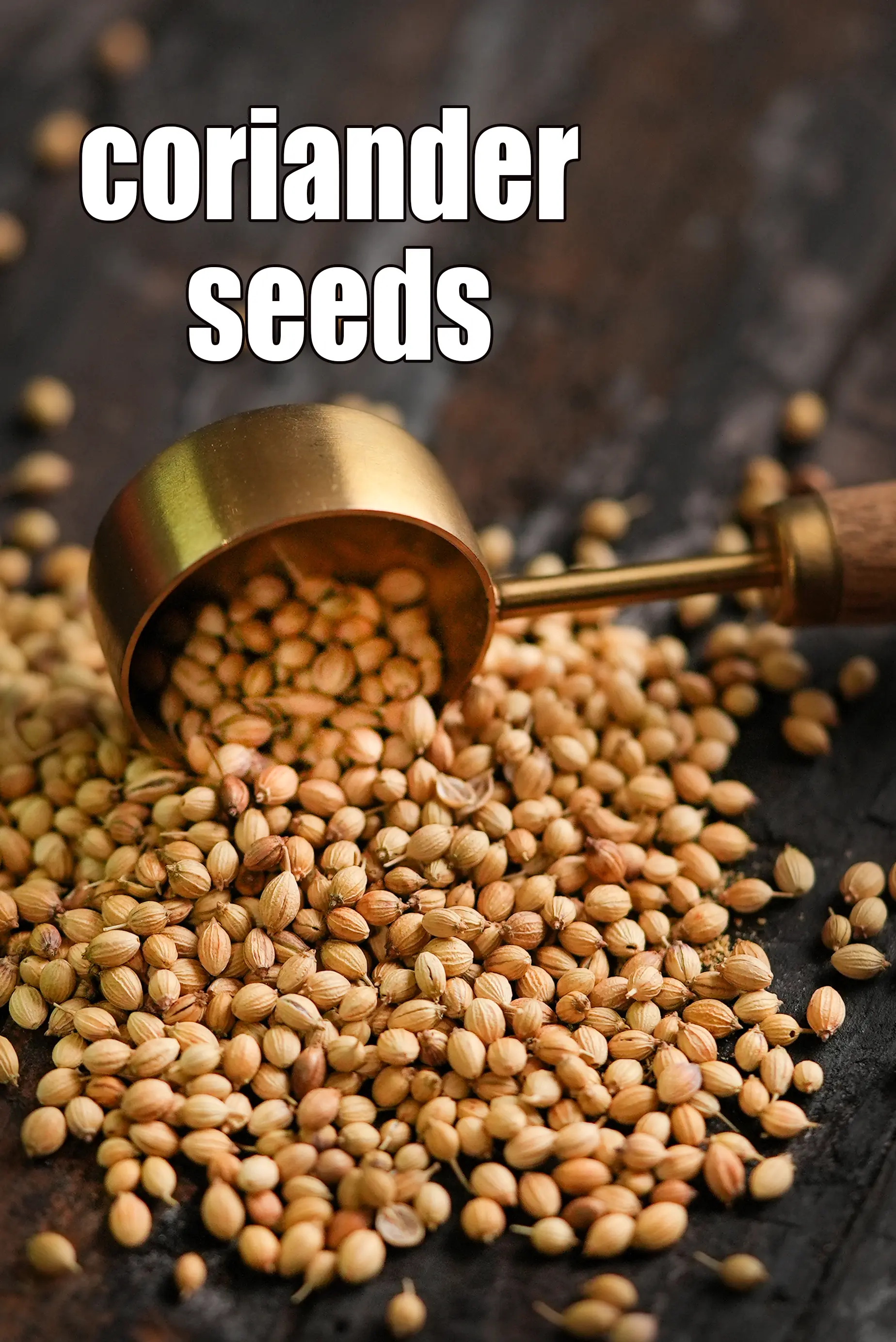 coriander seeds