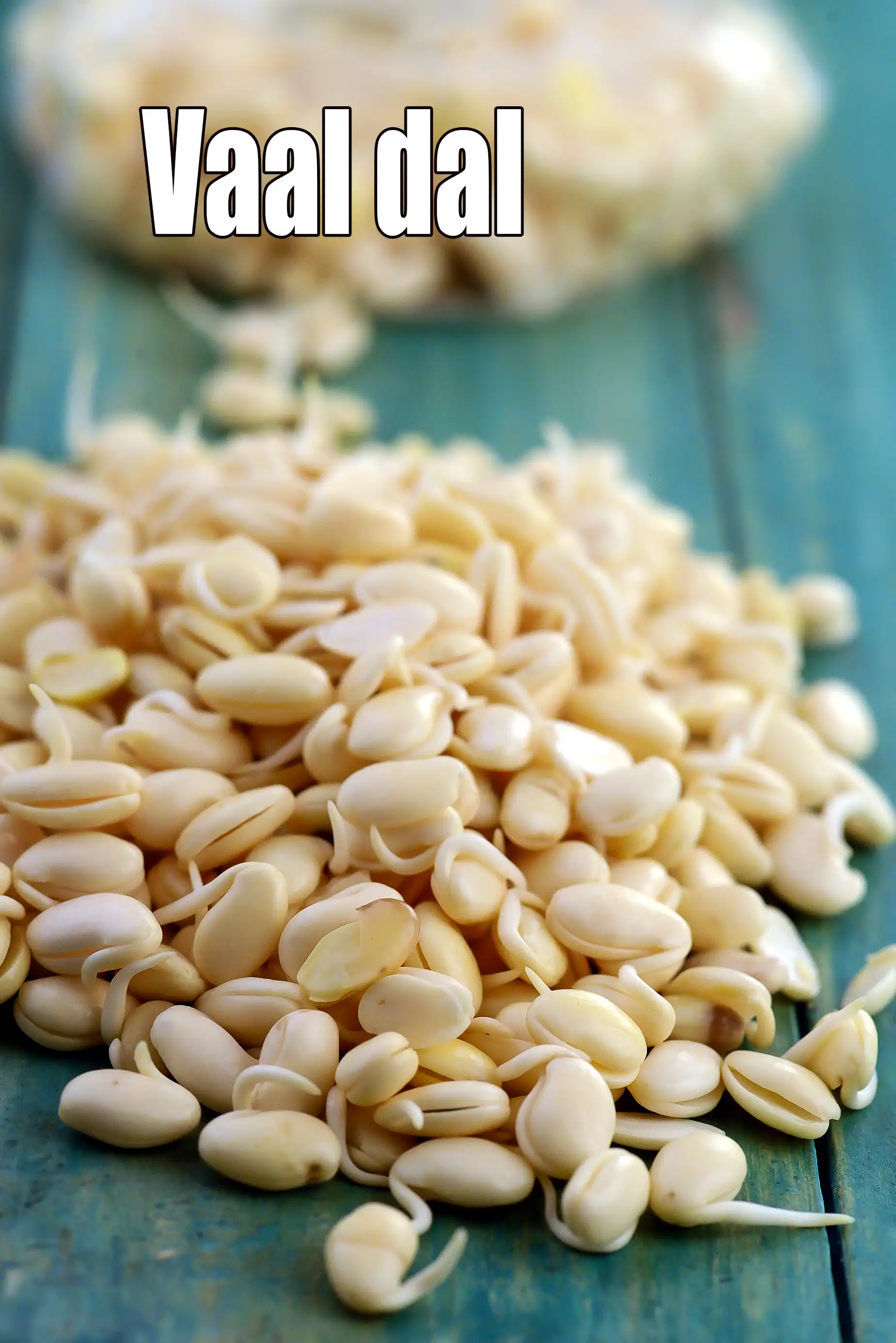vaal dal