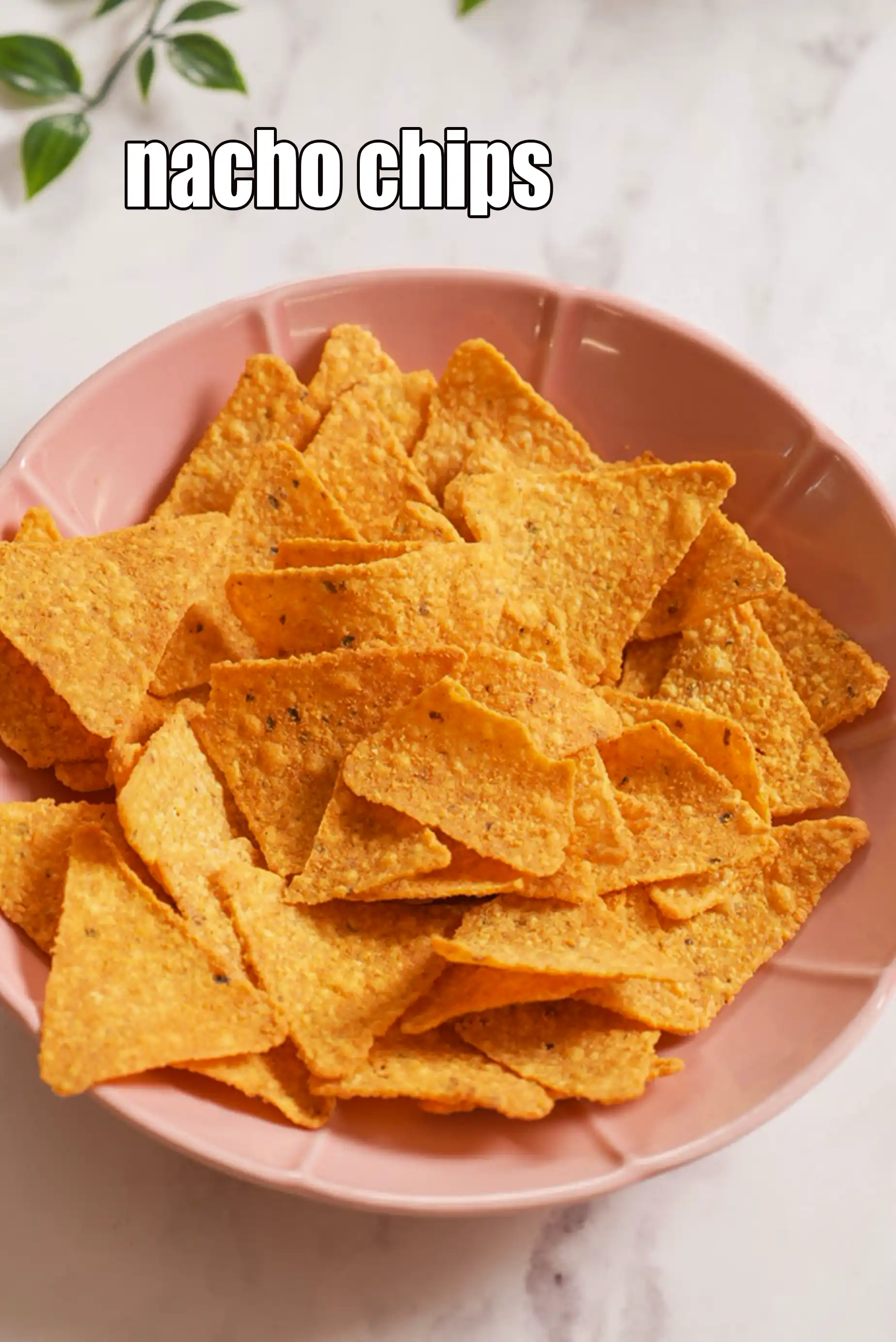 nacho chips or tortilla chips