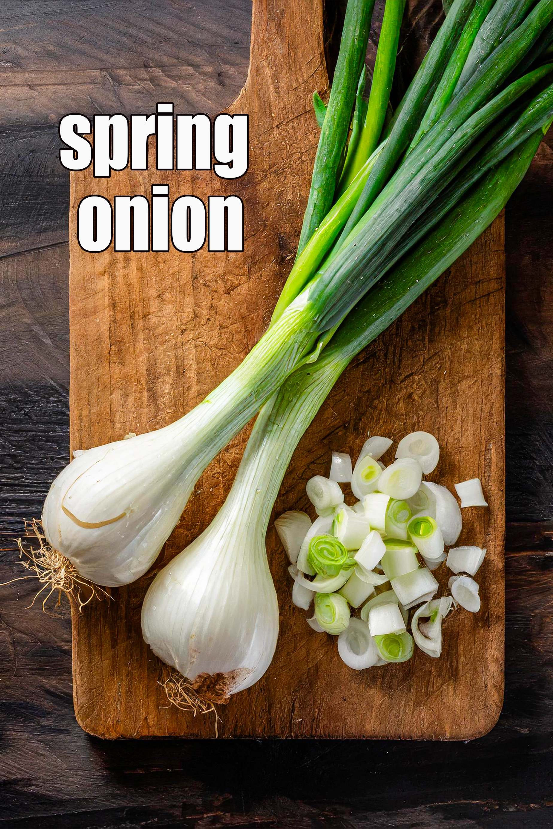 spring onion
