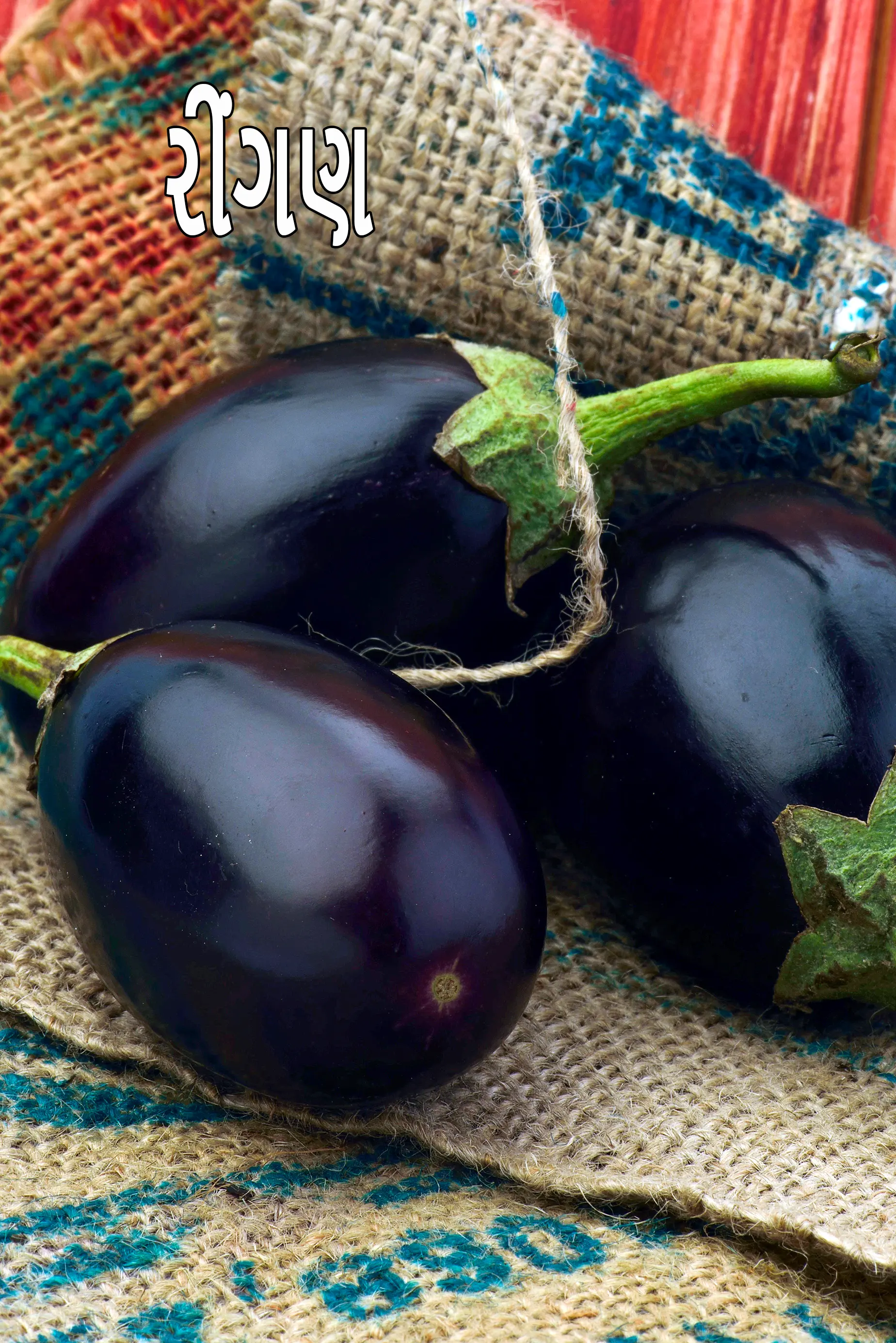 brinjal