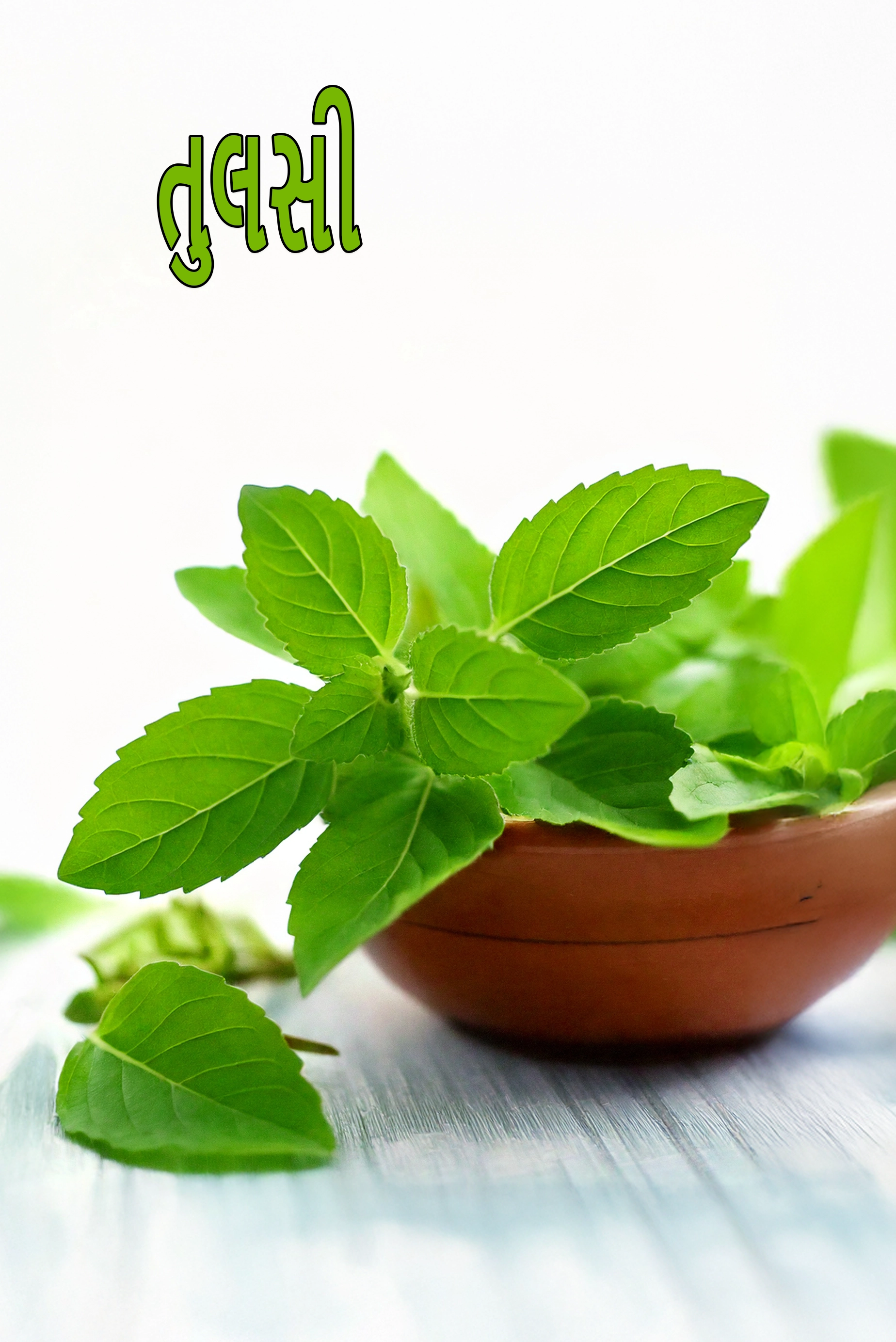 tulsi leaves