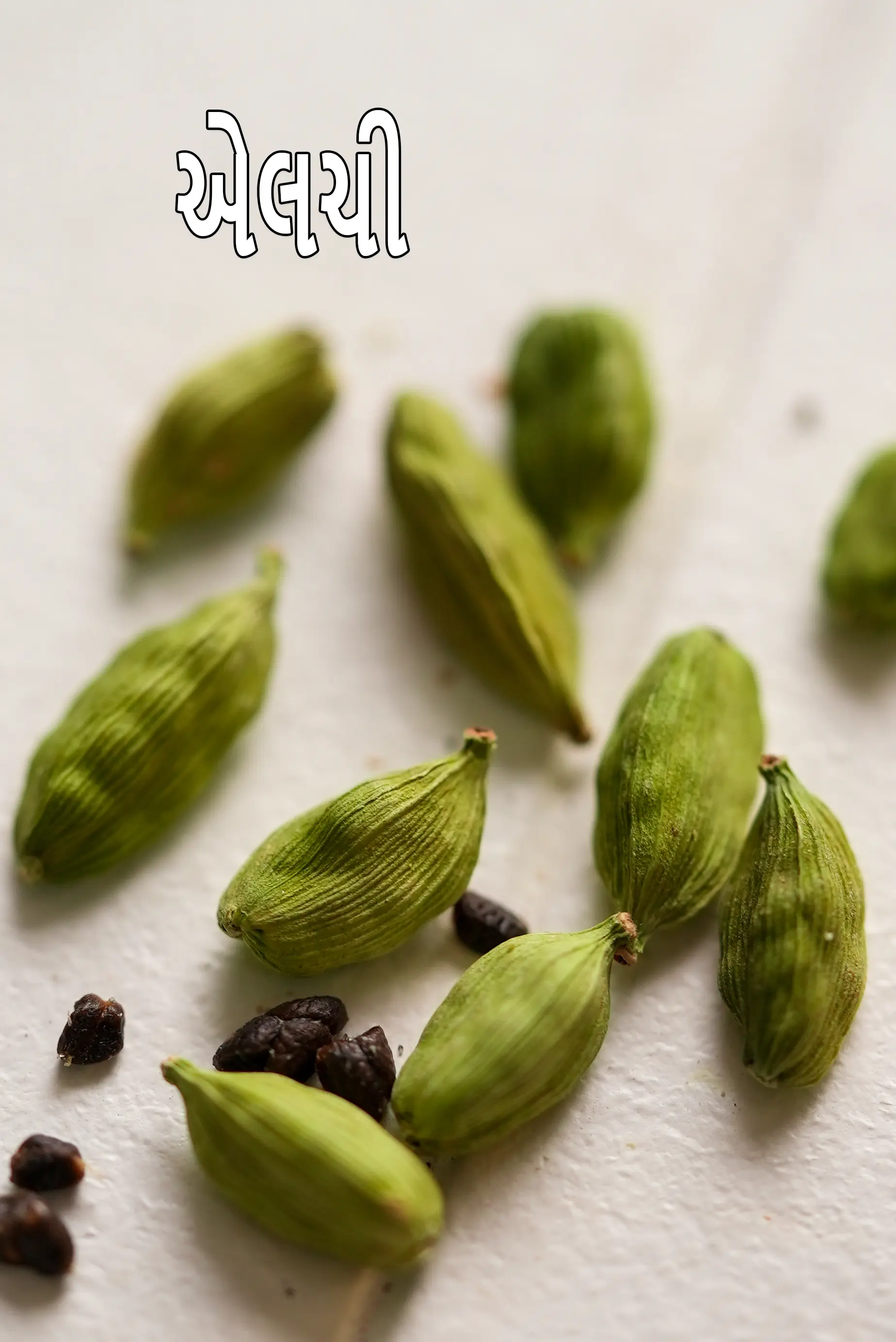 cardamom
