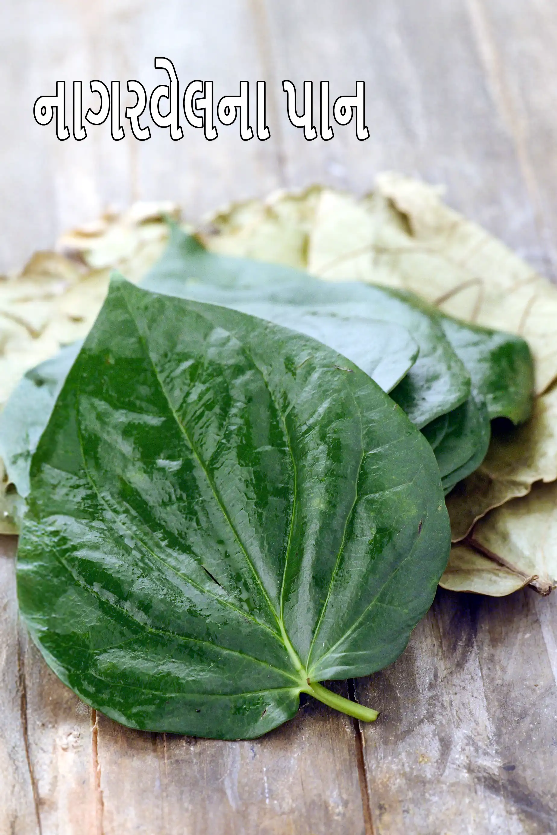 betel leaves